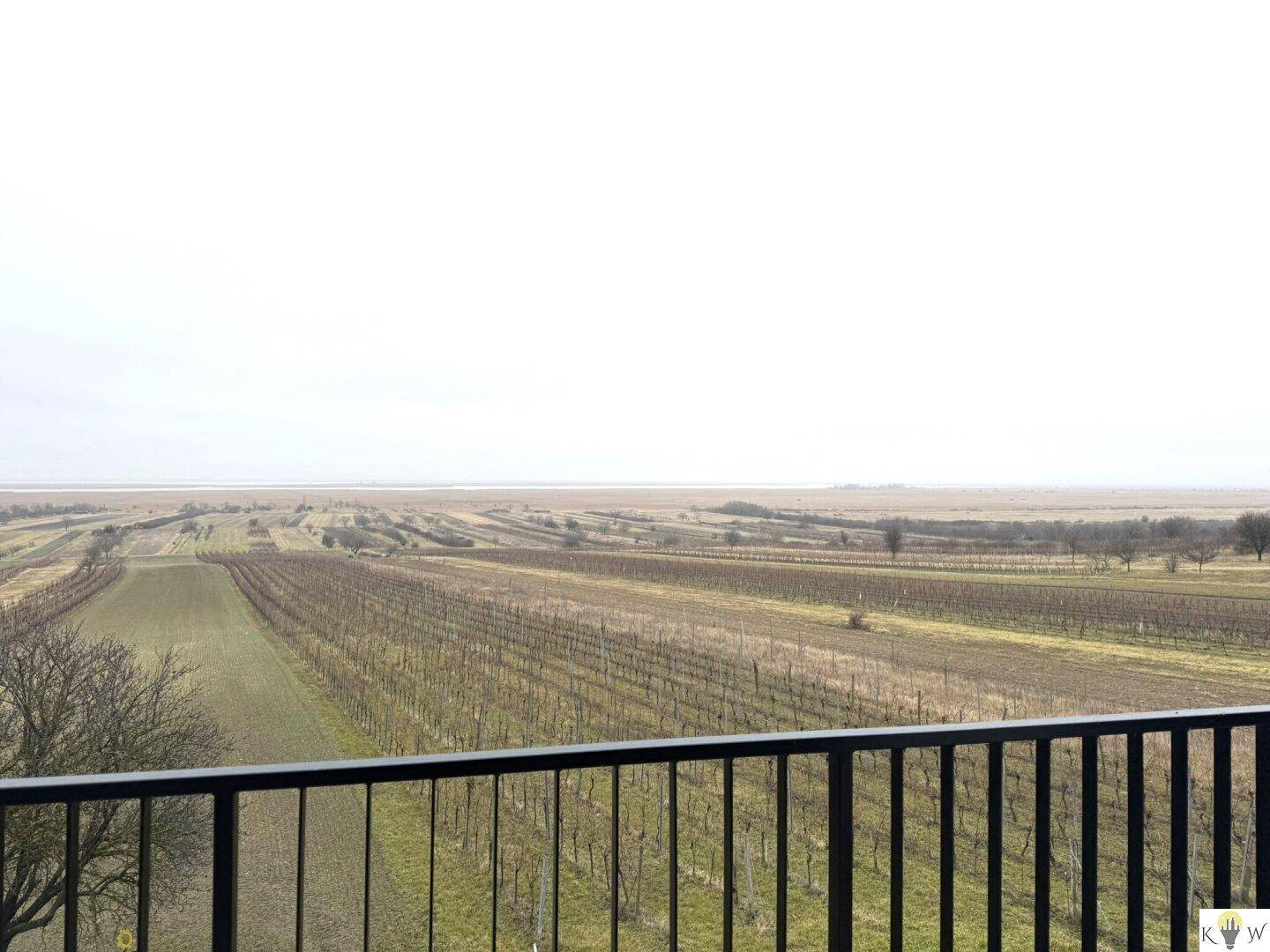 Weitläufiger Blick über Weinberge und Felder von der Immobilie aus, ideal für Naturliebhaber.
