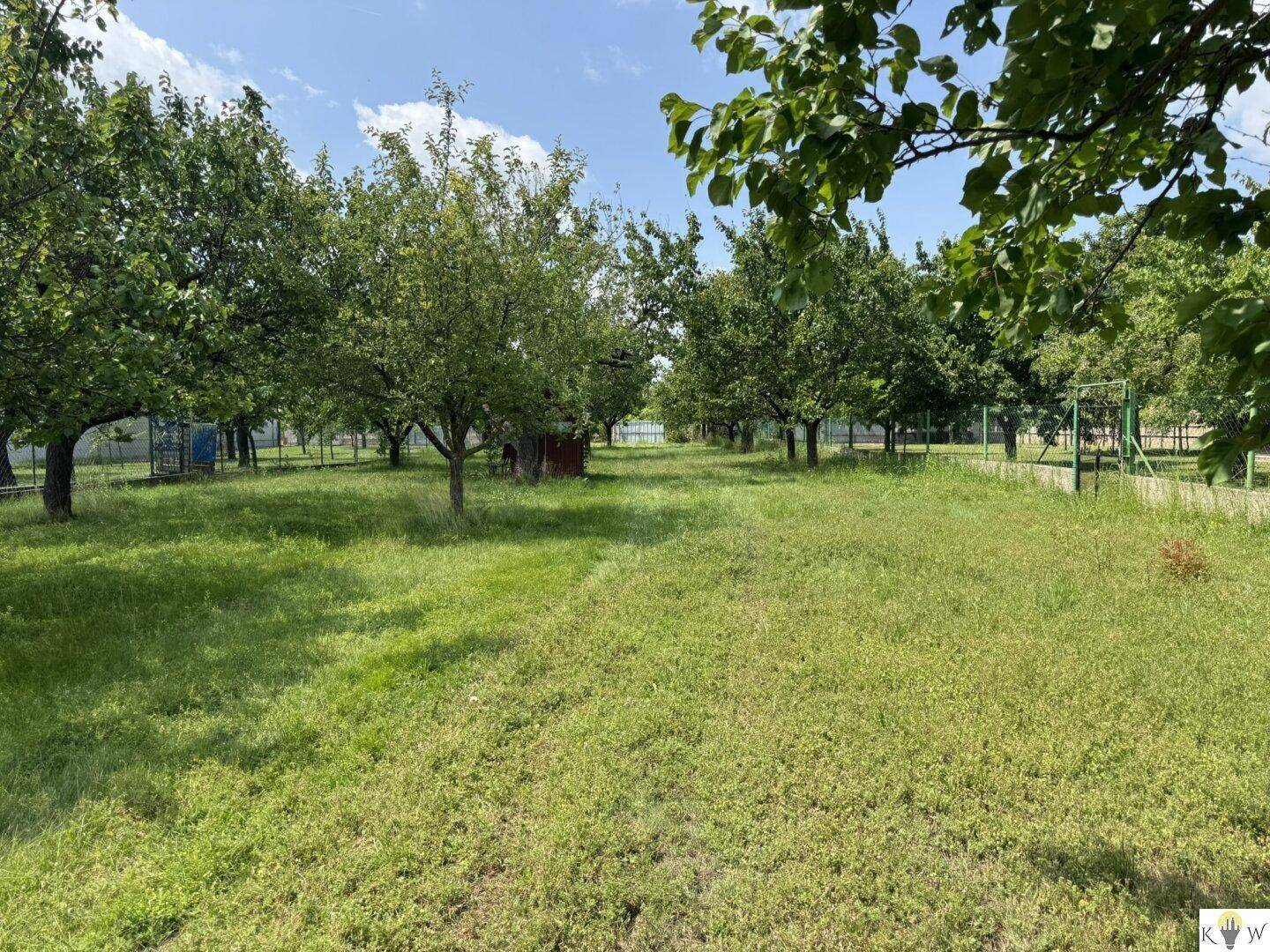 Großer Gartenbereich mit Rasenfläche und zahlreichen Obstbäumen unter blauem Himmel.