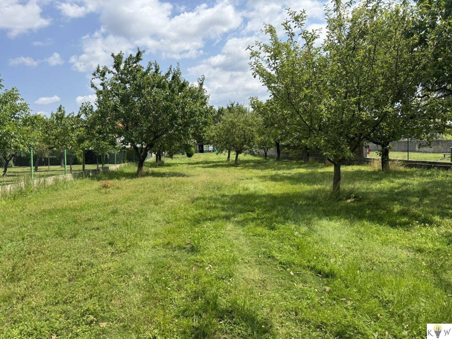 Weitläufiger Gartenbereich mit Obstbäumen und natürlicher Vegetation an einem sonnigen Tag.