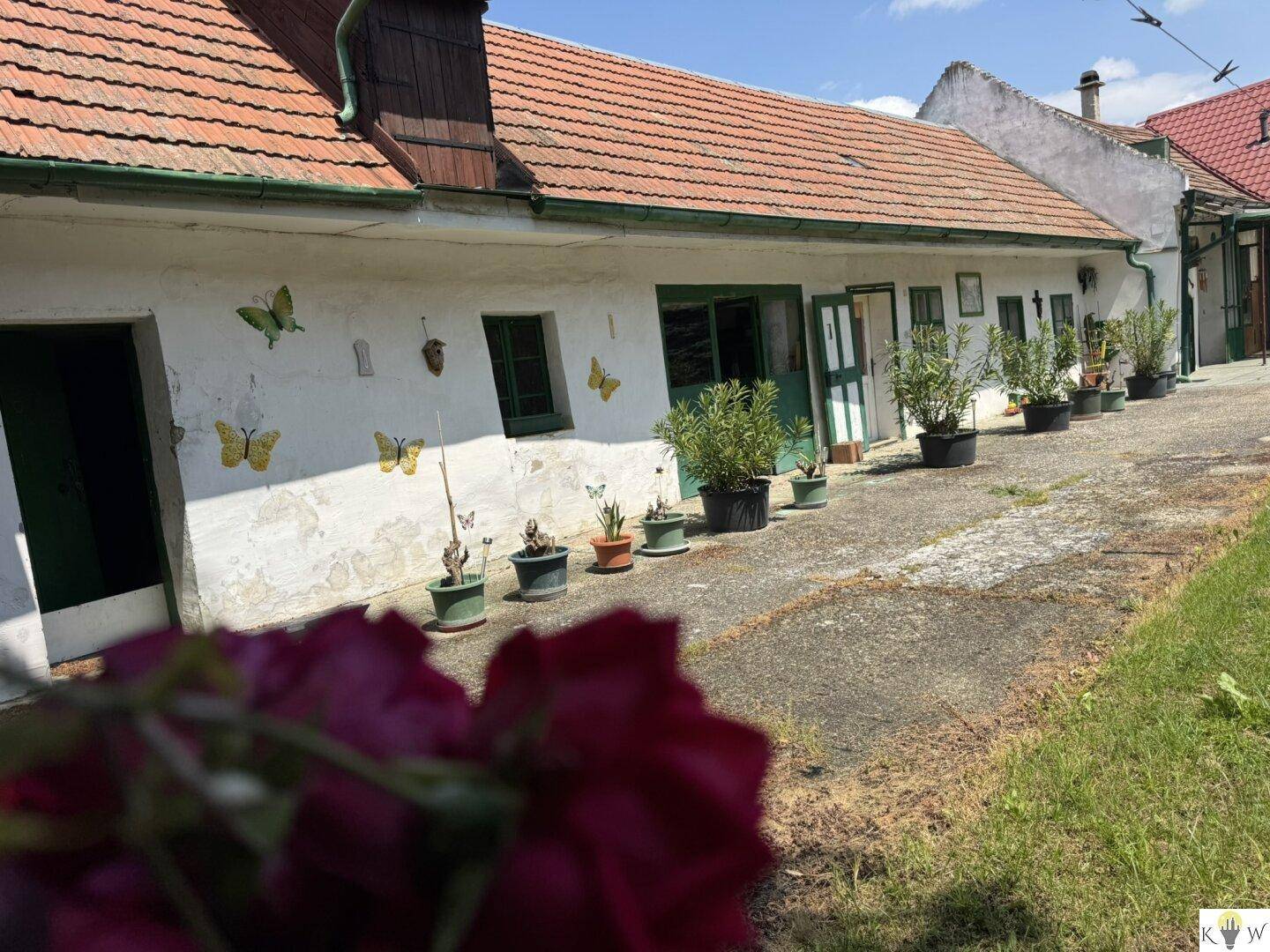 Rustikale Hausfassade mit grünen Fensterläden und vielen Topfpflanzen entlang des Weges.