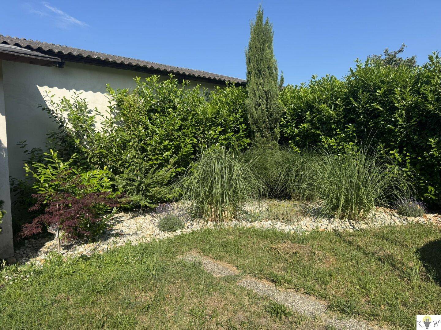 Gestaltetes Gartenbeet mit Ziergräsern, kleinen Bäumen und weißen Kieselsteinen, umgeben von einer Hecke.