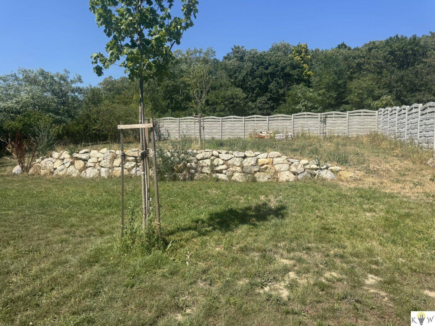 Naturbelassener Gartenbereich mit einer dekorativen Steinmauer und jungen Bäumen.