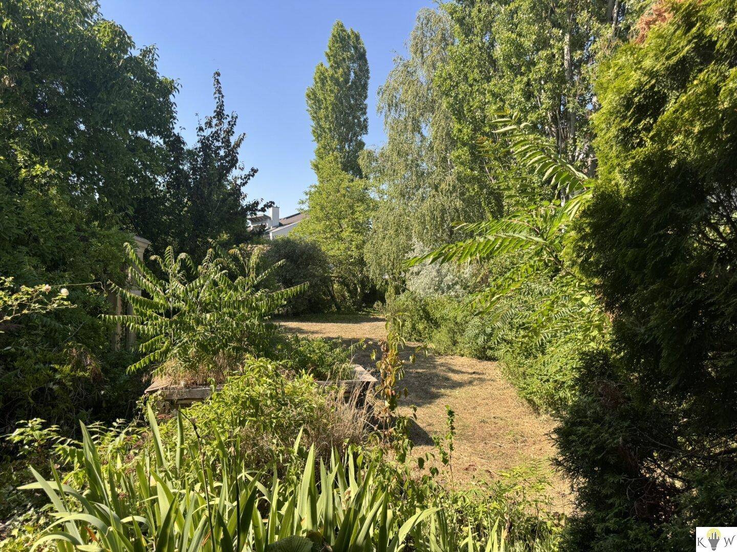 Großer, naturbelassener Garten mit viel Grün und Baumbestand, ideal für Erholung im Freien.