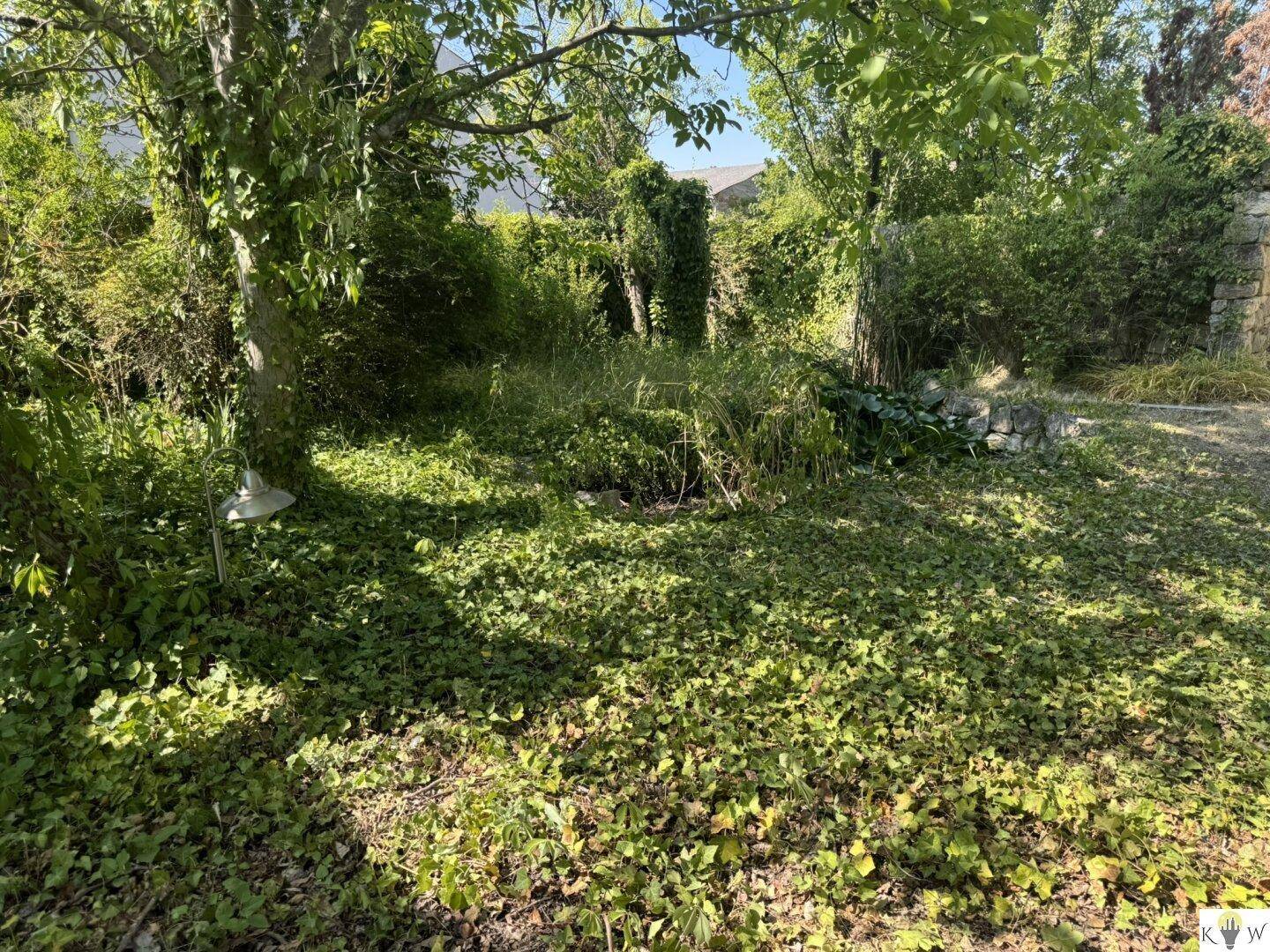 Üppig bewachsener Gartenbereich mit dichtem Efeu und altem Baumbestand, bietet viel Schatten.
