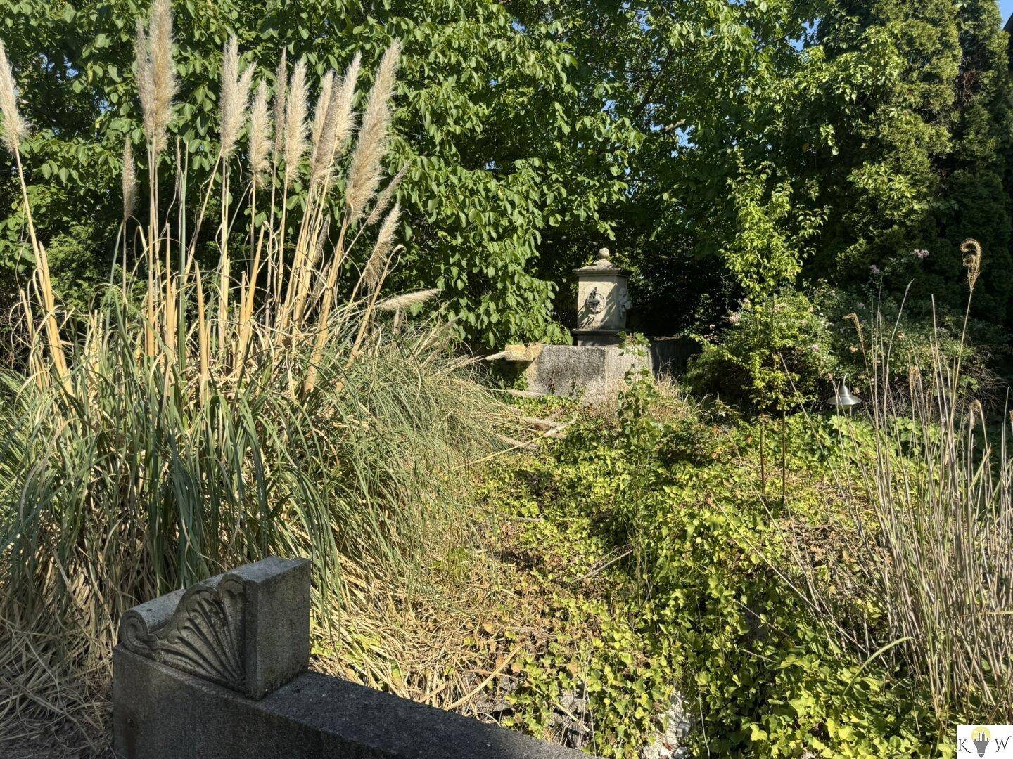 Verwunschener Gartenbereich mit hohen Gräsern, üppiger Vegetation und einem dekorativen Steinbrunnen.