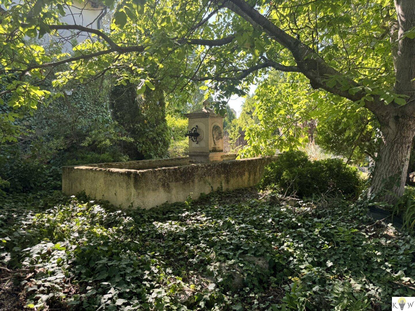 Alter steinerner Wasserbehälter unter einem großen Baum, umgeben von dichtem Efeu im Garten.