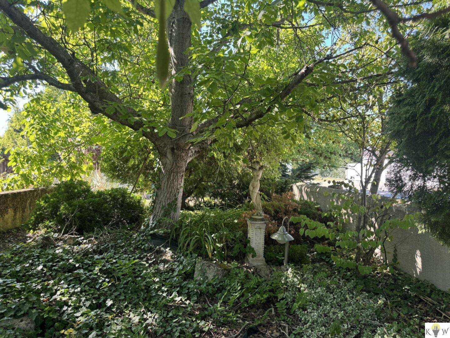 Malerischer Gartenbereich mit alter Baumkrone, Efeubewuchs und einer klassischen Gartenstatue.