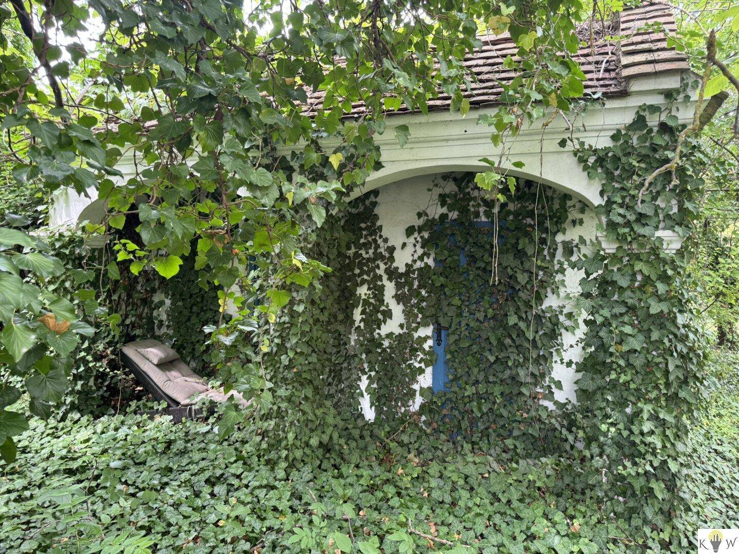 Historische Gebäudefassade mit Rundbogen und blauen Fenstern, komplett von Efeu überwuchert.