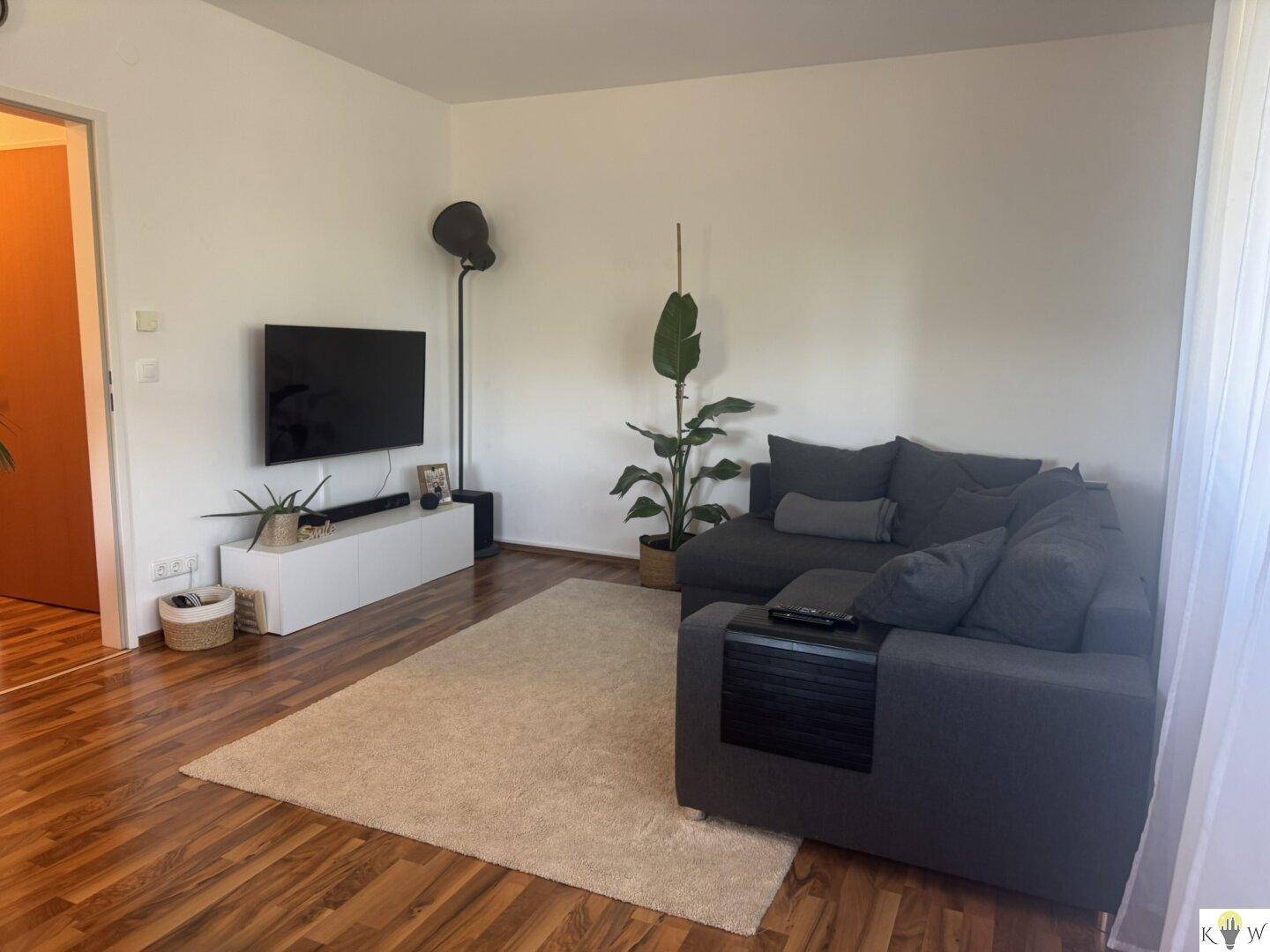Gemütliches Wohnzimmer mit Sofa, Teppich und Fernseher, hell und einladend.