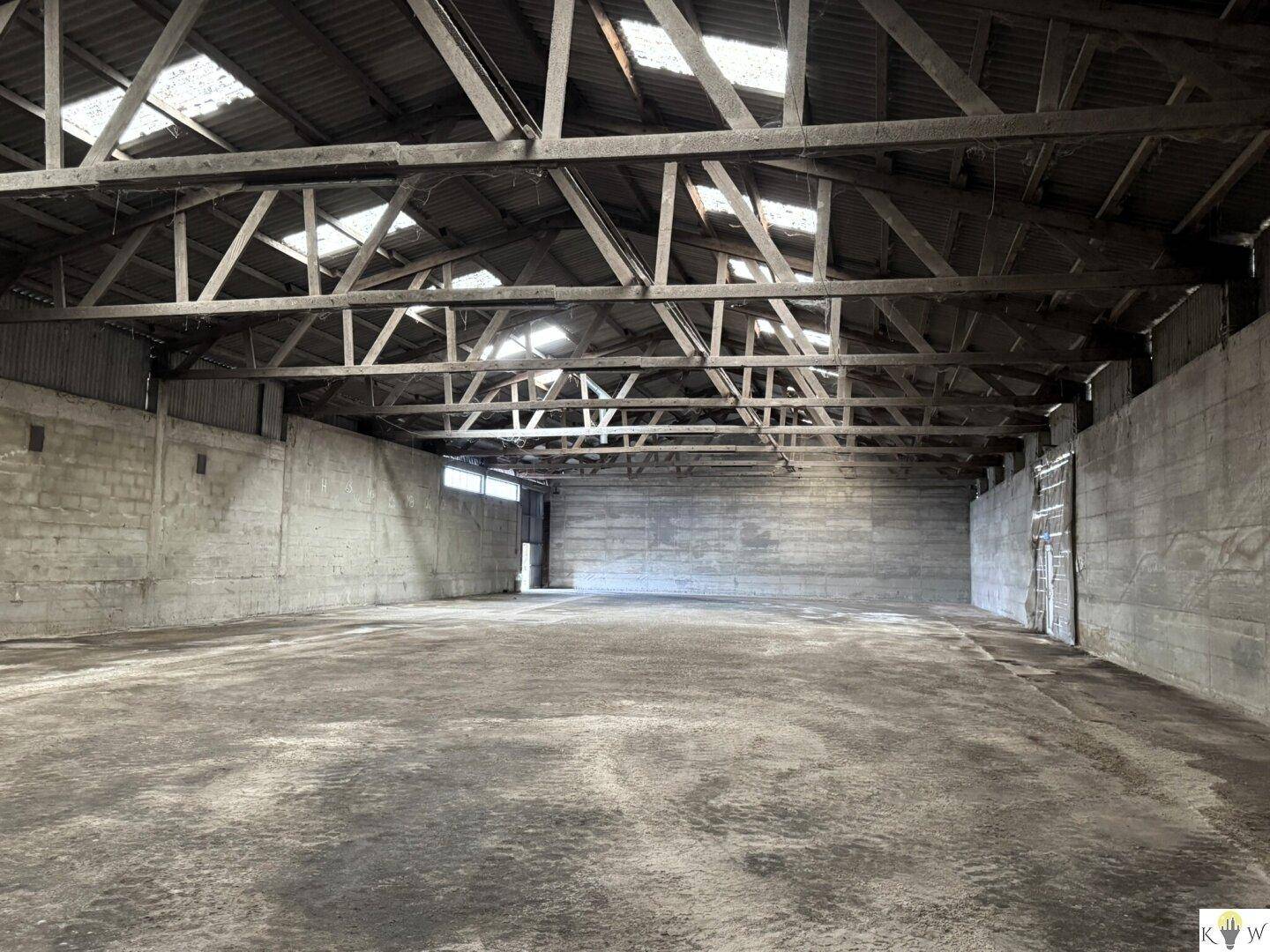 Große, ungenutzte Lagerhalle mit robustem Betonboden und einer beeindruckenden Holz-Dachkonstruktion, gut beleuchtet.