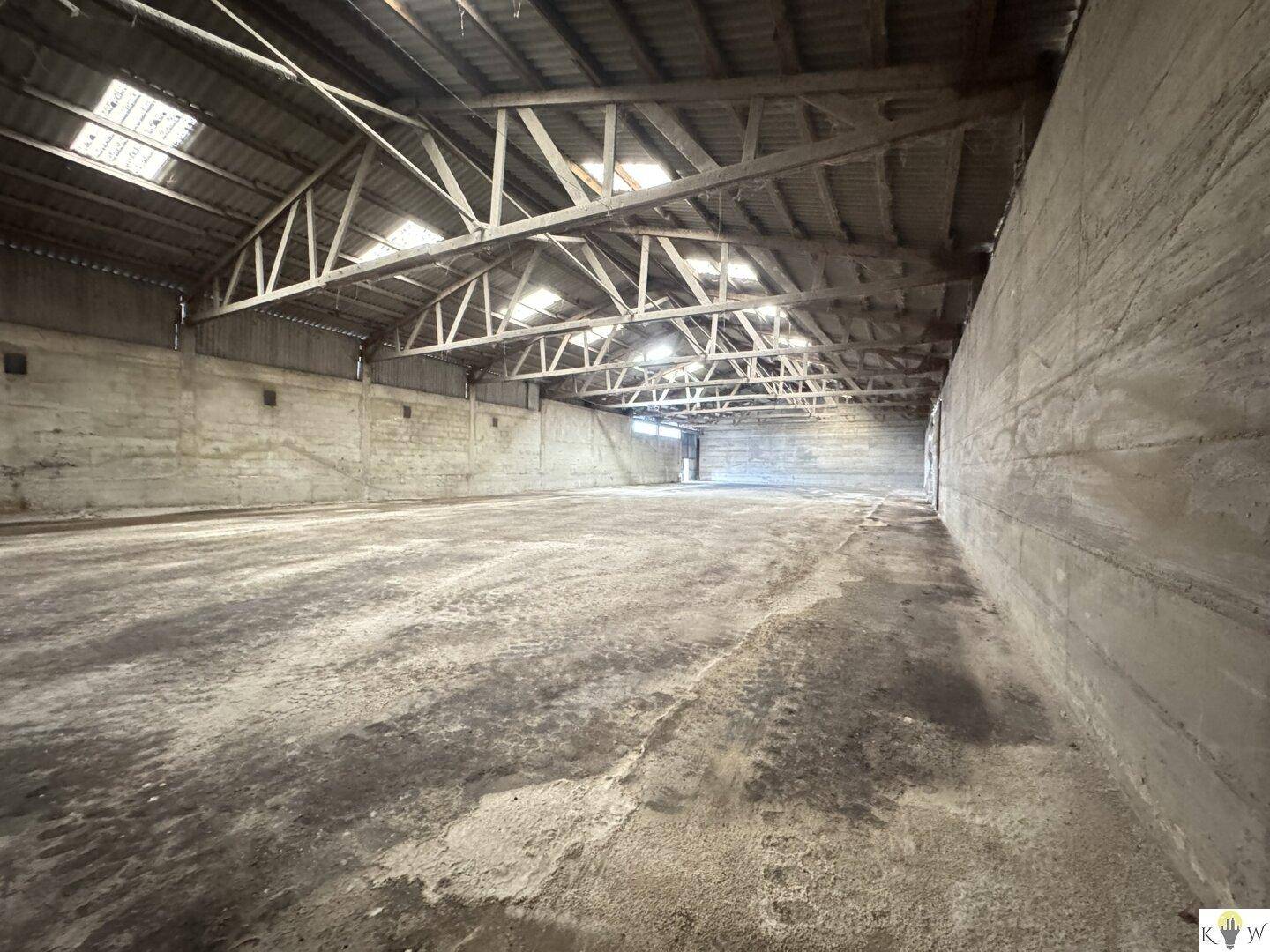 Weitläufige Lagerhalle mit sichtbaren Holzbindern und einem gewölbten Dach, bereit für vielfältige Nutzung.