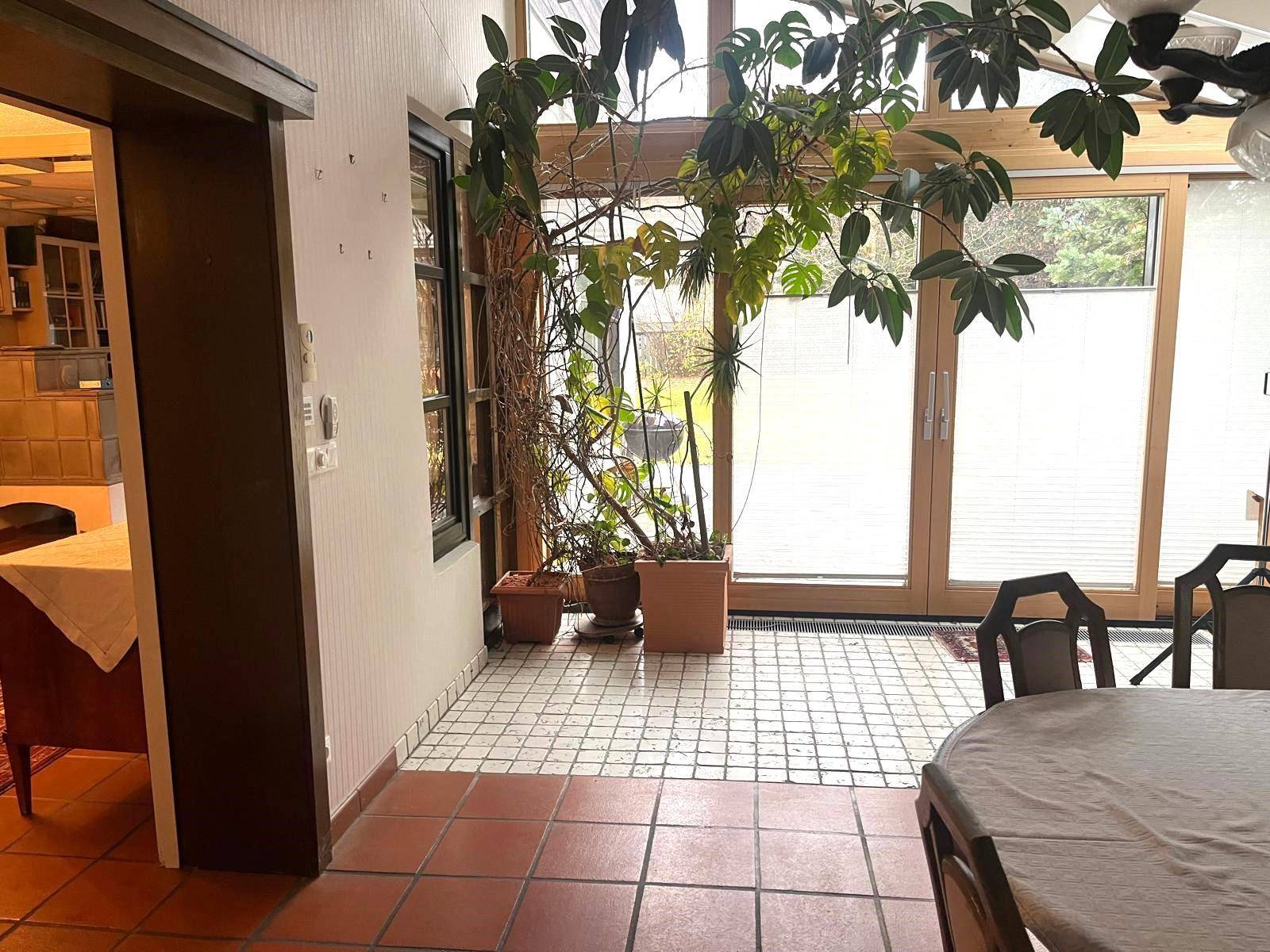 Heller Wintergarten mit großen Pflanzen, Fliesenboden und weitem Blick ins Grüne.