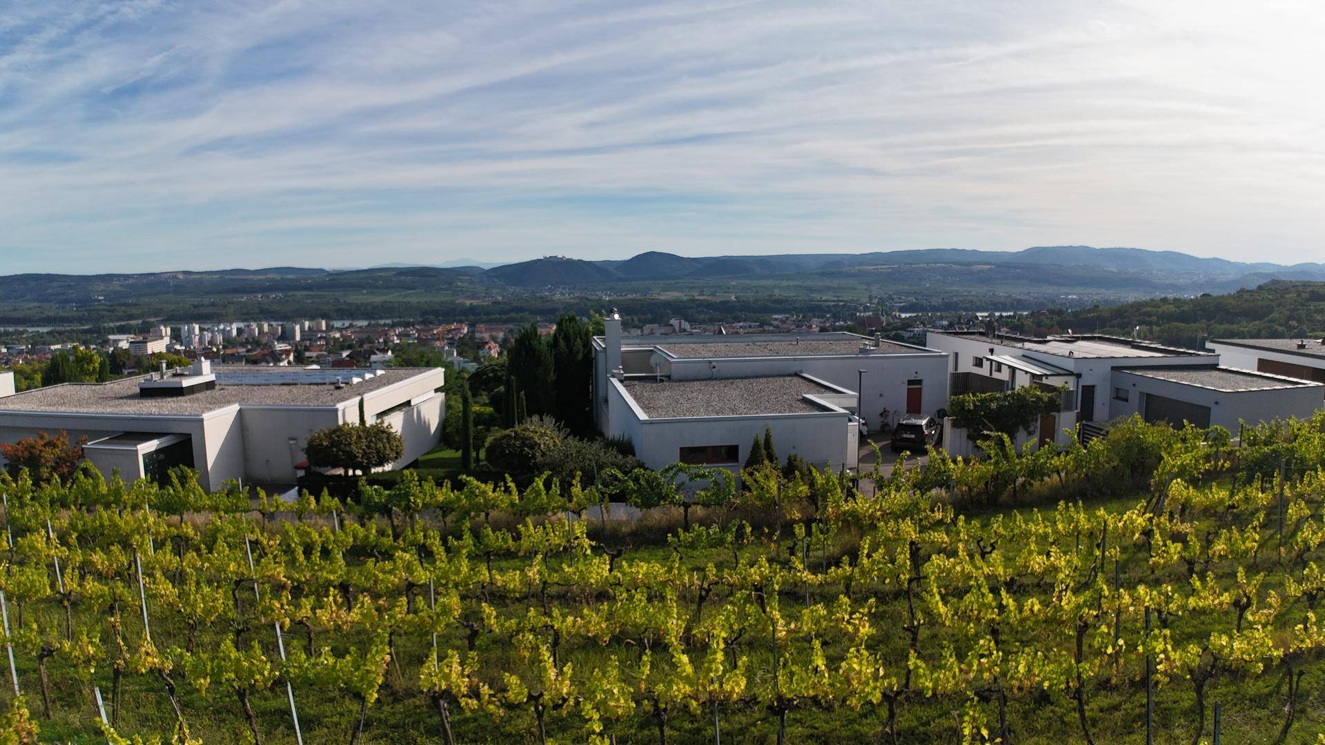 Nahaufnahme moderner Häuser mit Weinbergen im Vordergrund und Stadtpanorama im Hintergrund.