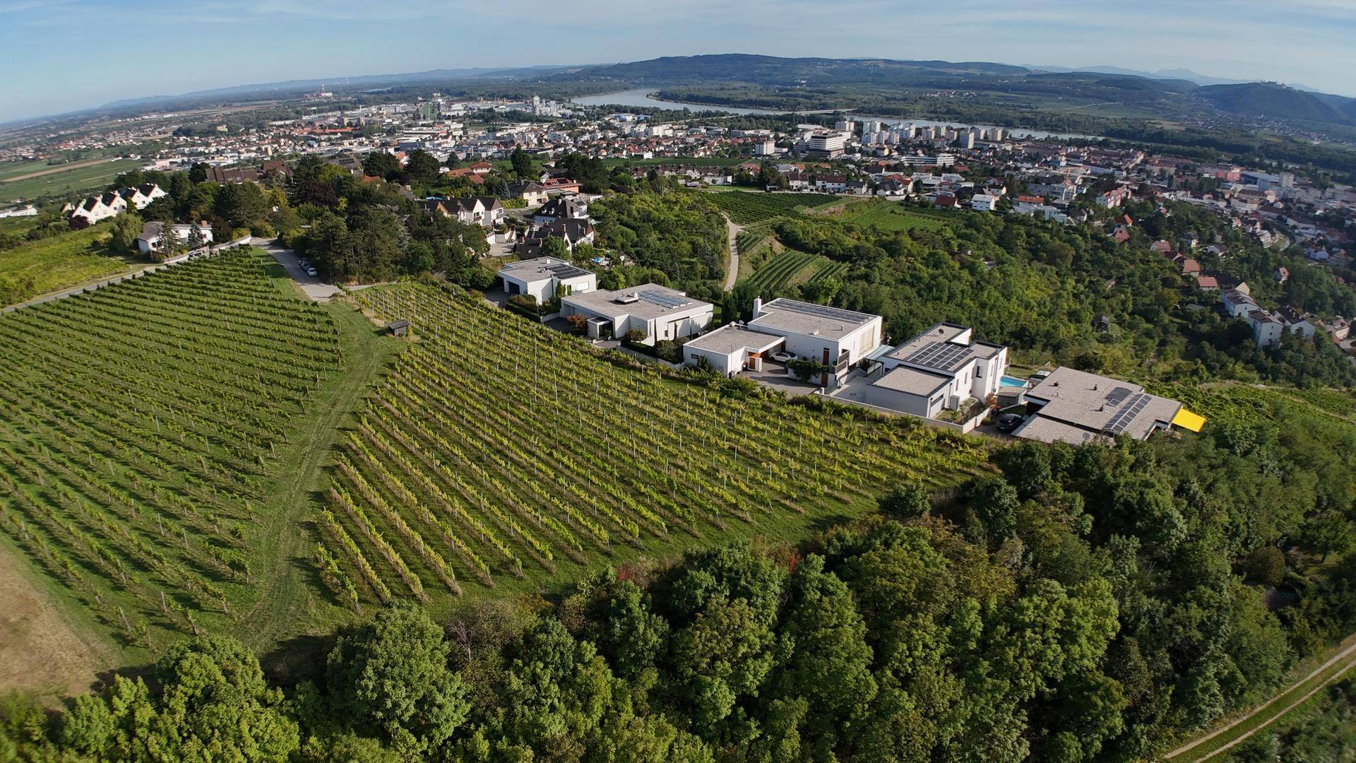 Weitläufige Luftaufnahme von modernen Villen, Weinbergen, Wald und einer Stadt am Fluss.
