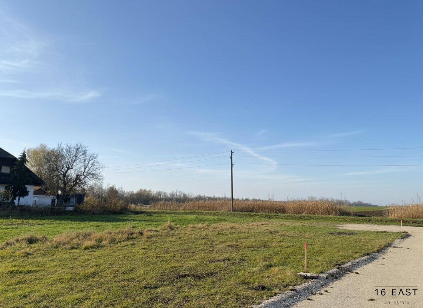 Weitläufiges Grundstück mit grüner Wiese und einem Haus im Hintergrund unter blauem Himmel.
