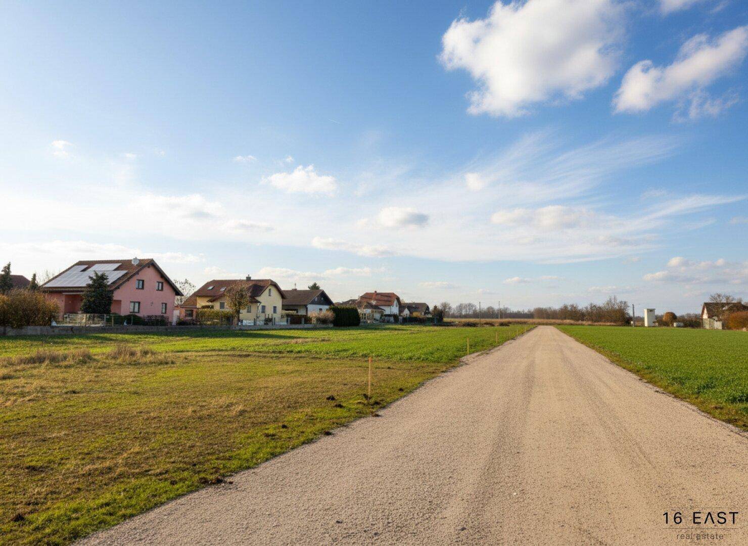 Ländliche Straße führt durch grüne Felder mit Wohnhäusern am Horizont unter blauem Himmel.