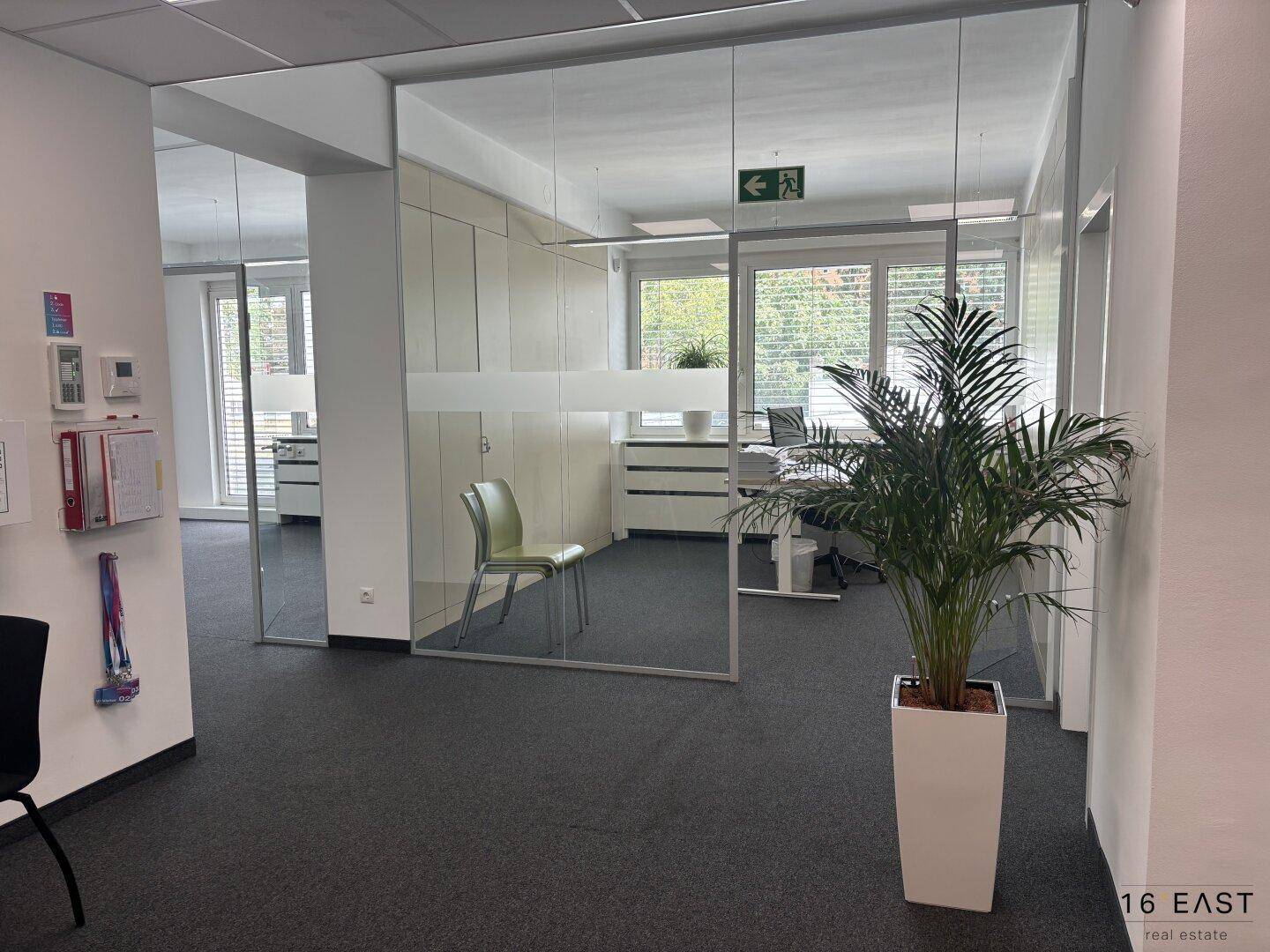 Helles Büro mit Glaswänden, Teppichboden und Pflanzen, bietet eine offene und moderne Arbeitsumgebung.