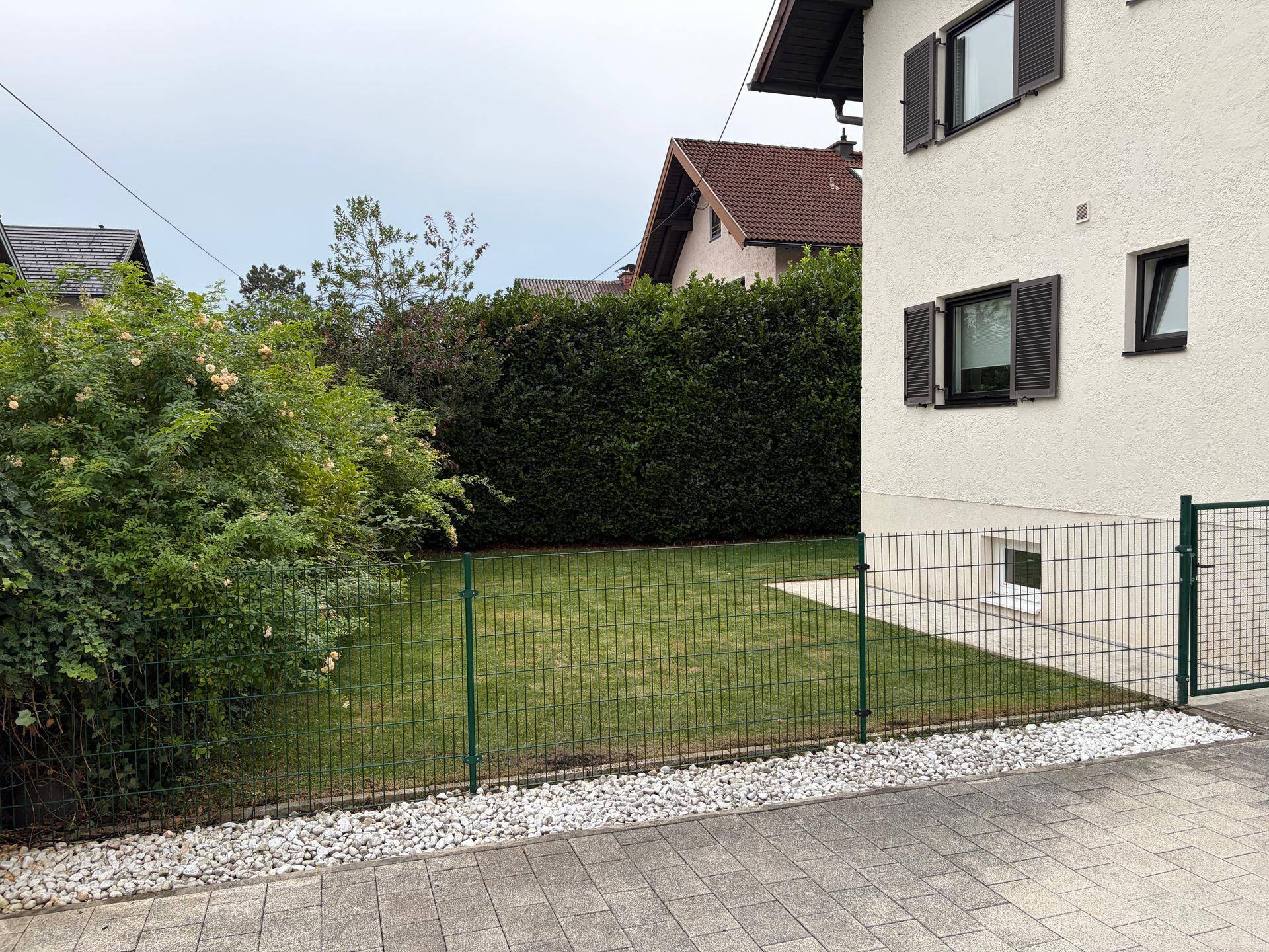 Gepflegter Gartenbereich mit Rasenfläche, hoher Hecke und Zaun neben einem Wohnhaus.