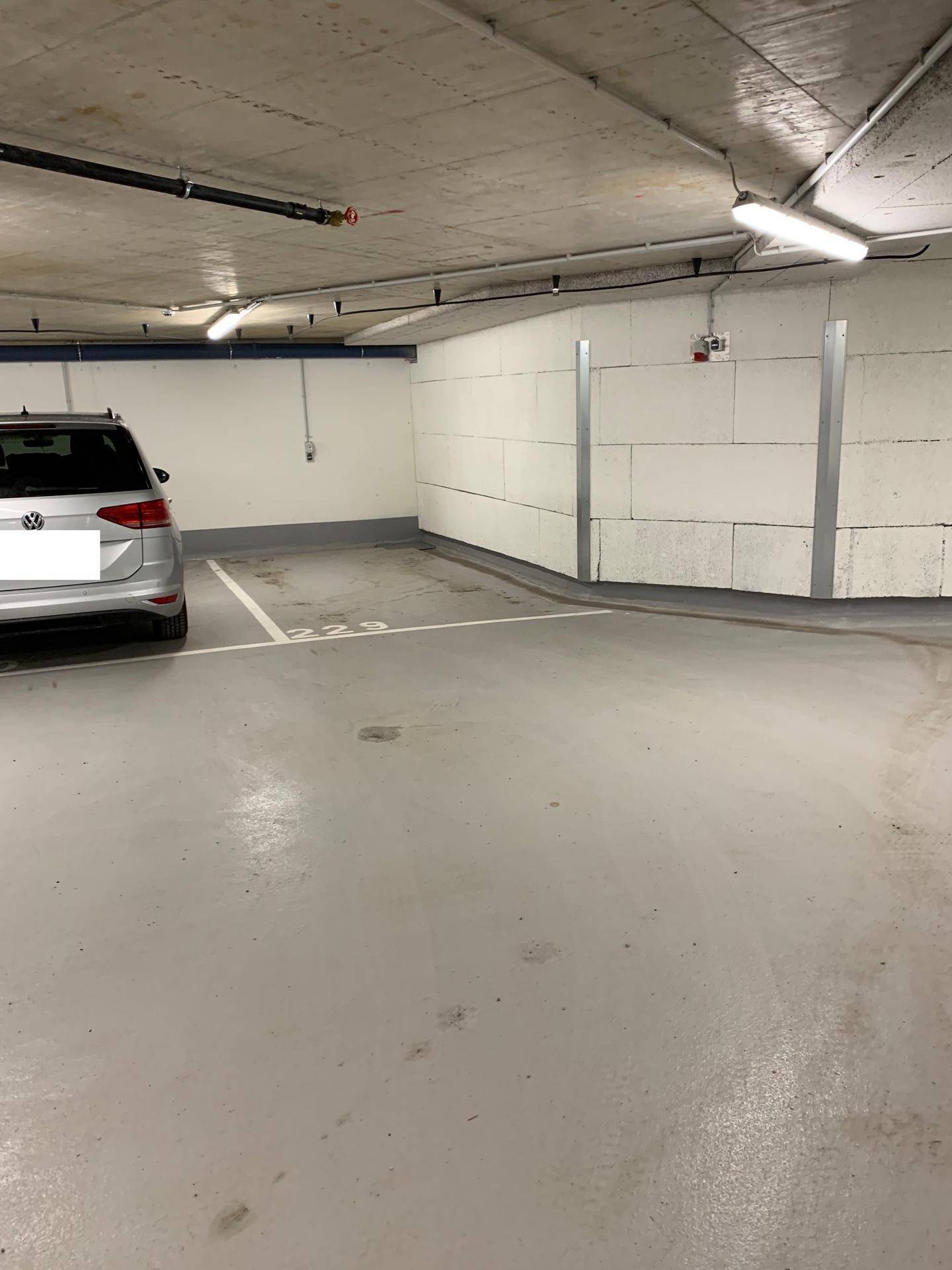 Freier Stellplatz Nummer 229 in einer gut beleuchteten Tiefgarage mit Betonwänden und -boden.