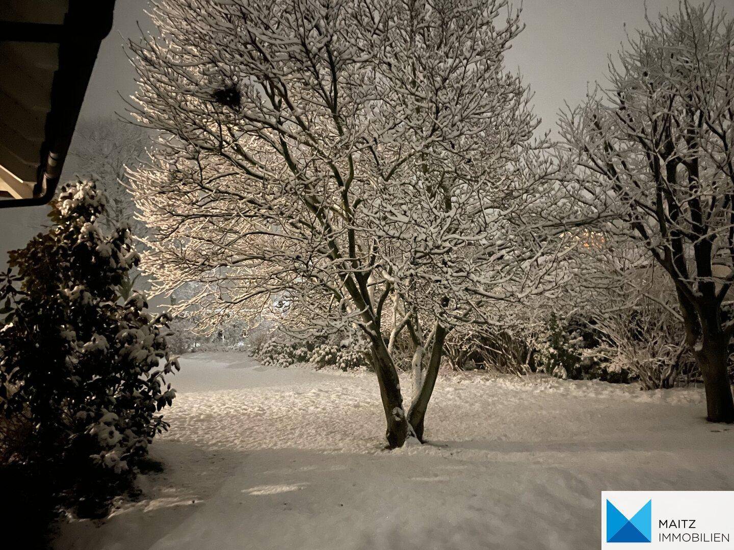 Verschneiter Garten in der Nacht mit beleuchteten Bäumen und winterlicher Atmosphäre.