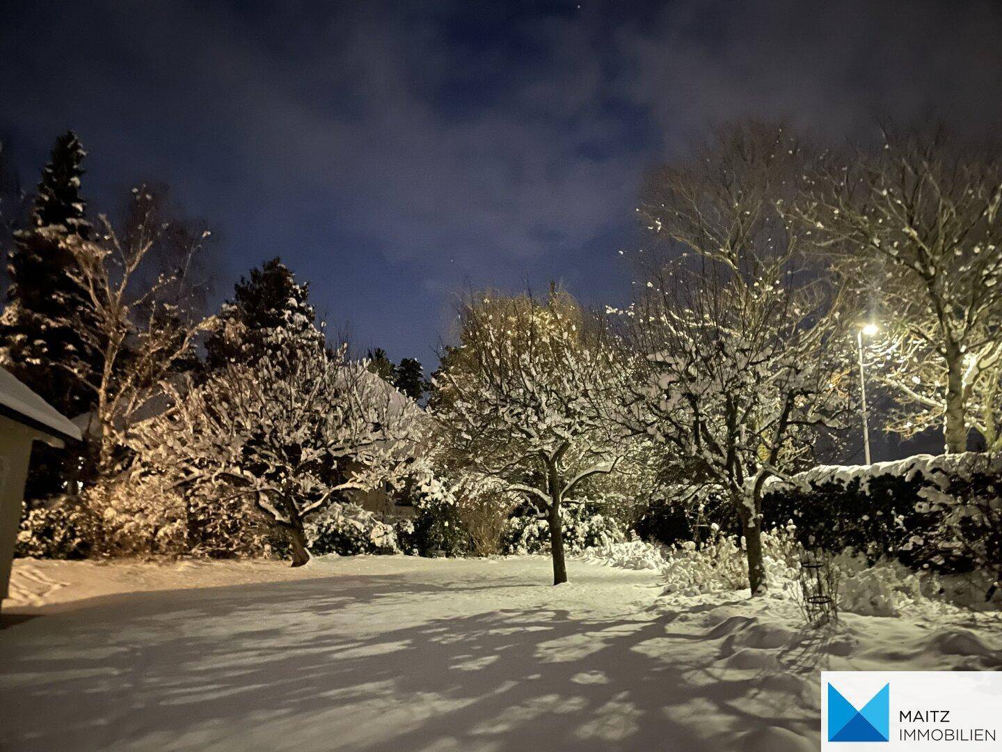 Winterlicher Garten mit schneebedeckten Bäumen in der Nacht.