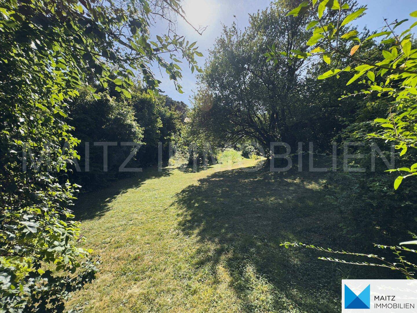 Ein sonniger Pfad führt durch eine grüne, von dichtem Laubwerk umgebene Gartenlandschaft.