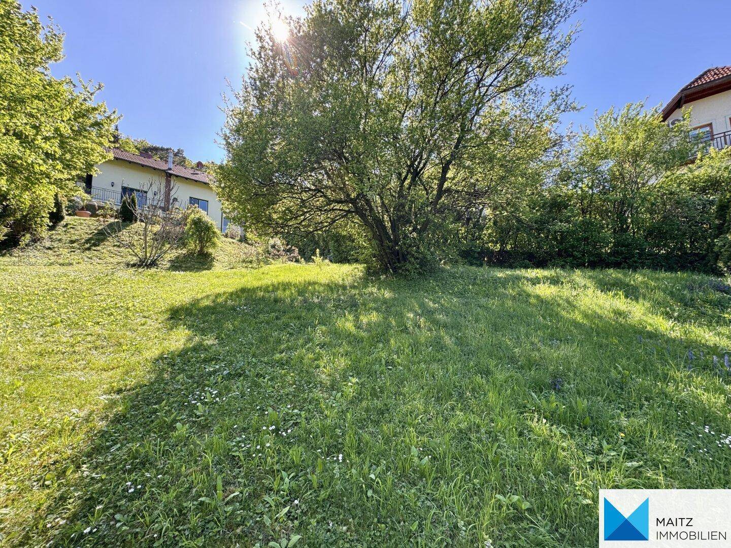 Sonnige Gartenfläche mit üppigem Grün, einem großen Baum und Häusern im Hintergrund.