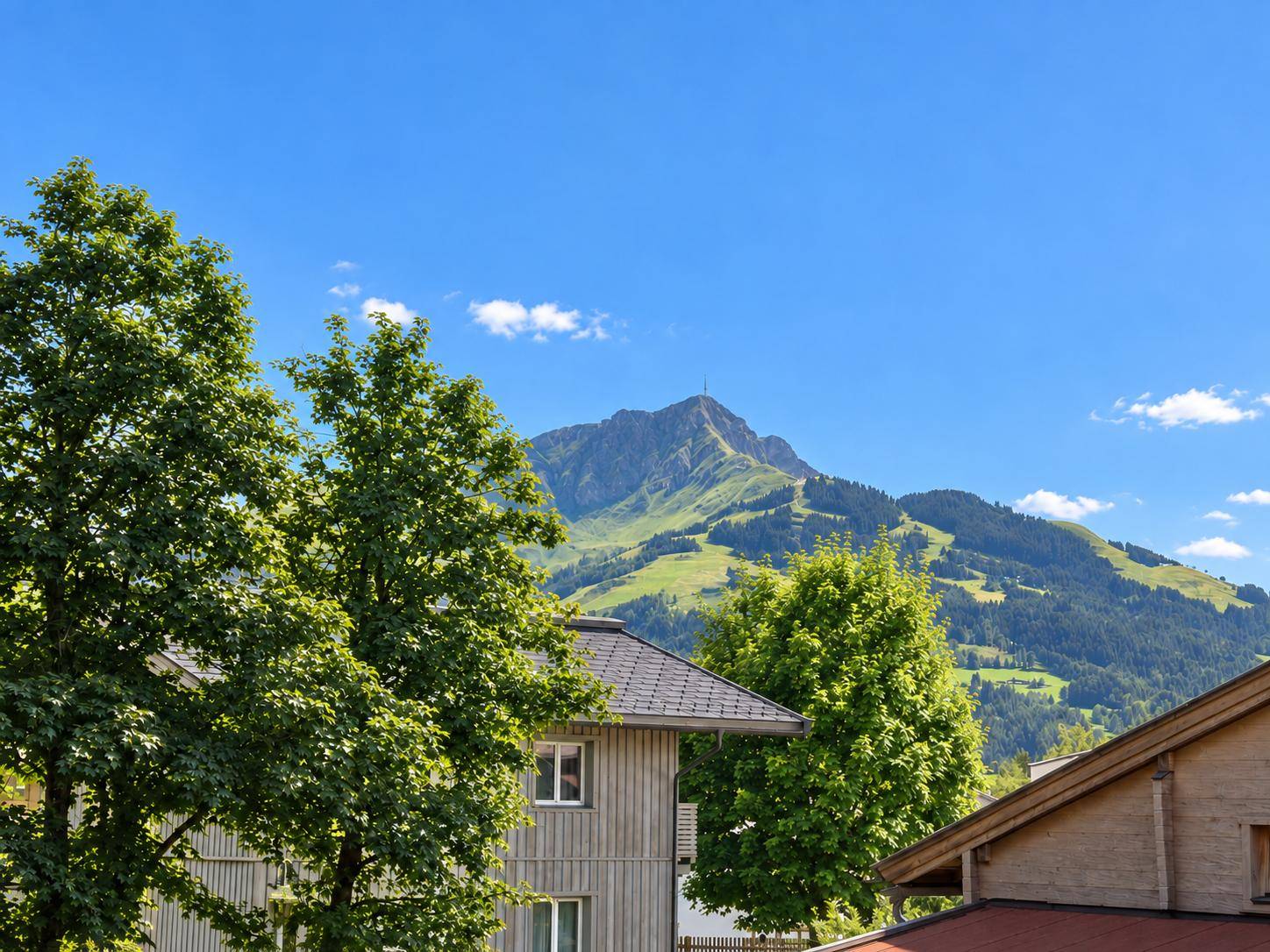 Malerischer Blick auf einen majestätischen Berg über grünen Baumwipfeln und Dächern.