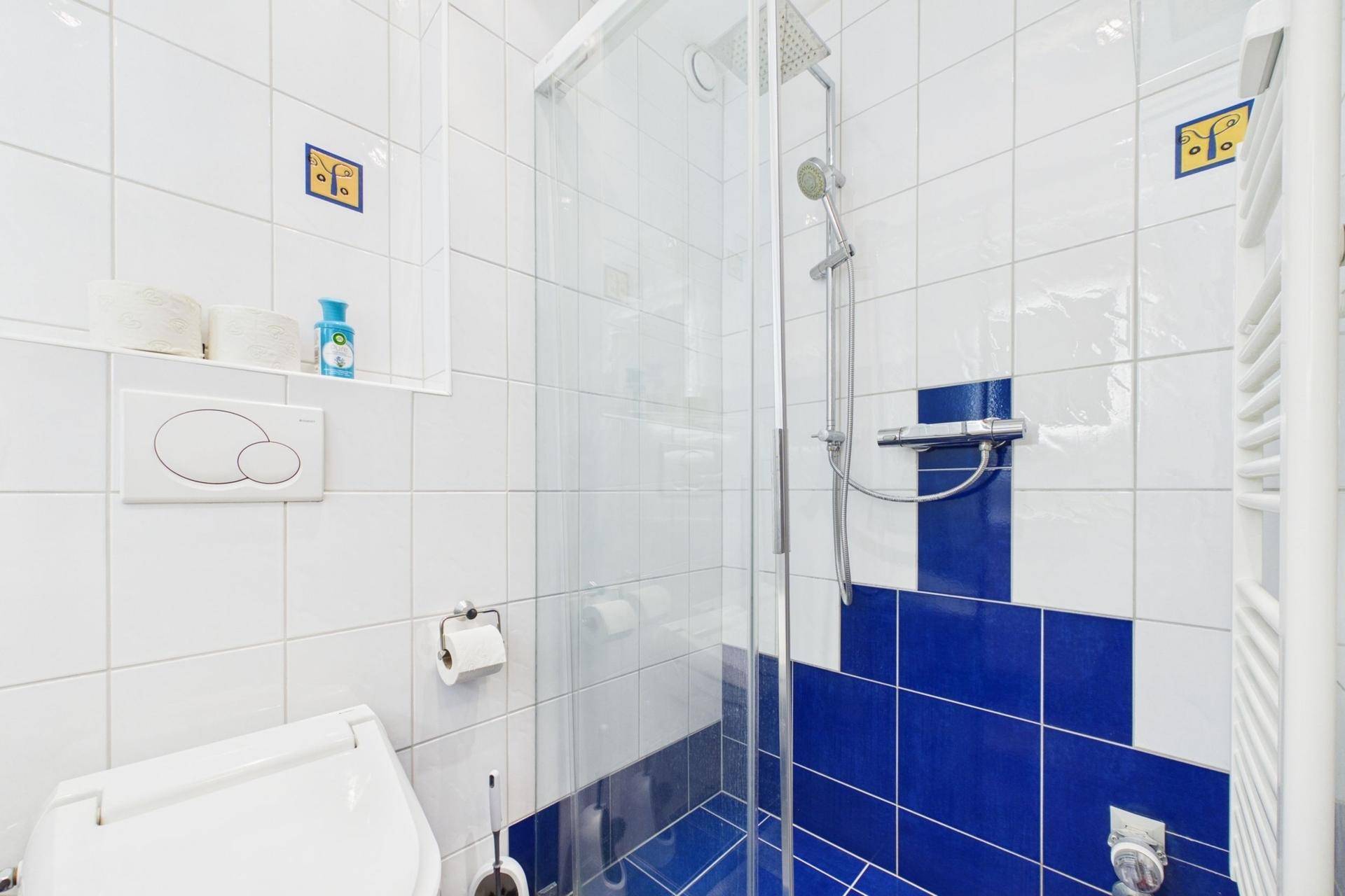 Helles Badezimmer mit Duschkabine, WC und weiß-blauen Fliesen im modernen Stil.