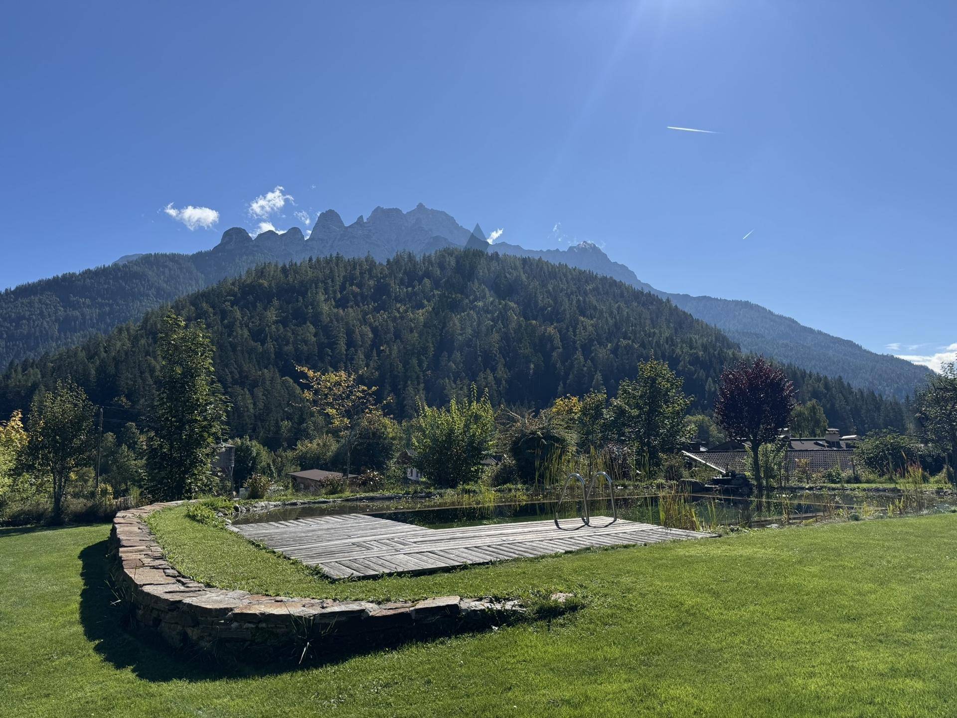 Sonniger Garten mit Holzdeck und Naturteich, umgeben von grünem Rasen und Bäumen.