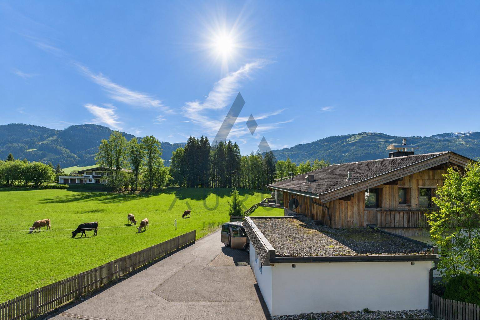 Sonniger Außenbereich des Anwesens mit Zufahrt, grünen Wiesen und Bergblick.