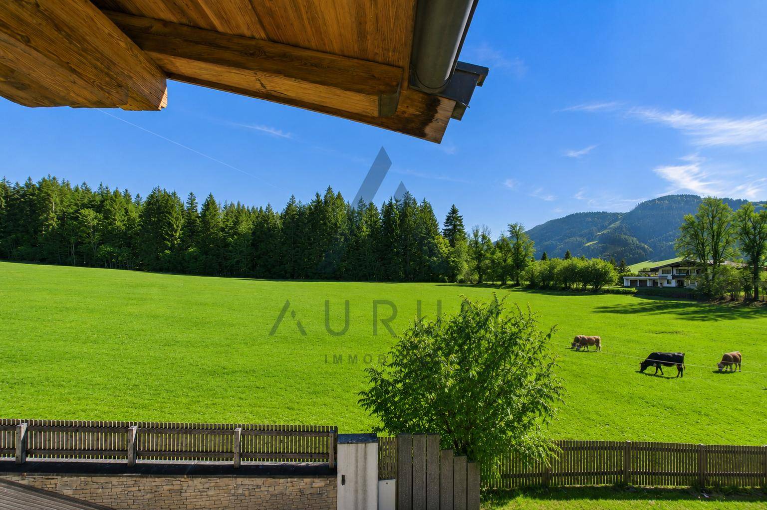 Malerischer Ausblick auf weite grüne Wiesen mit grasenden Kühen und bewaldeten Hügeln.