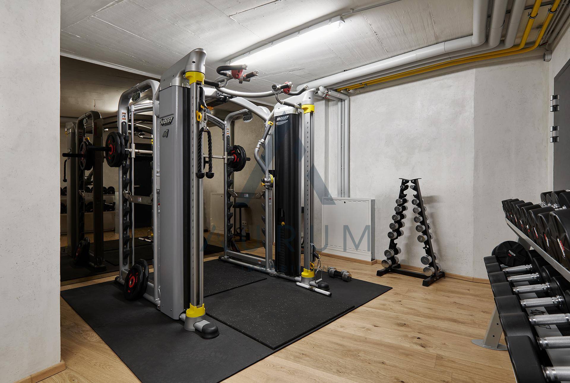 Gut ausgestatteter Fitnessraum mit Krafttrainingsgeräten und Hantelablage für vielseitiges Training.
