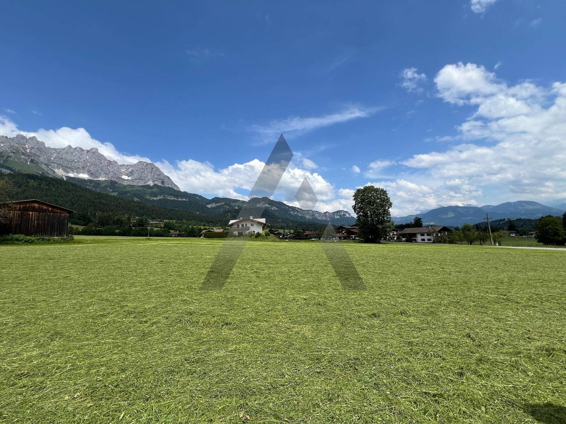 Weitläufige grüne Wiesen mit einem Bauernhaus und einer Bergkulisse unter strahlend blauem Himmel.