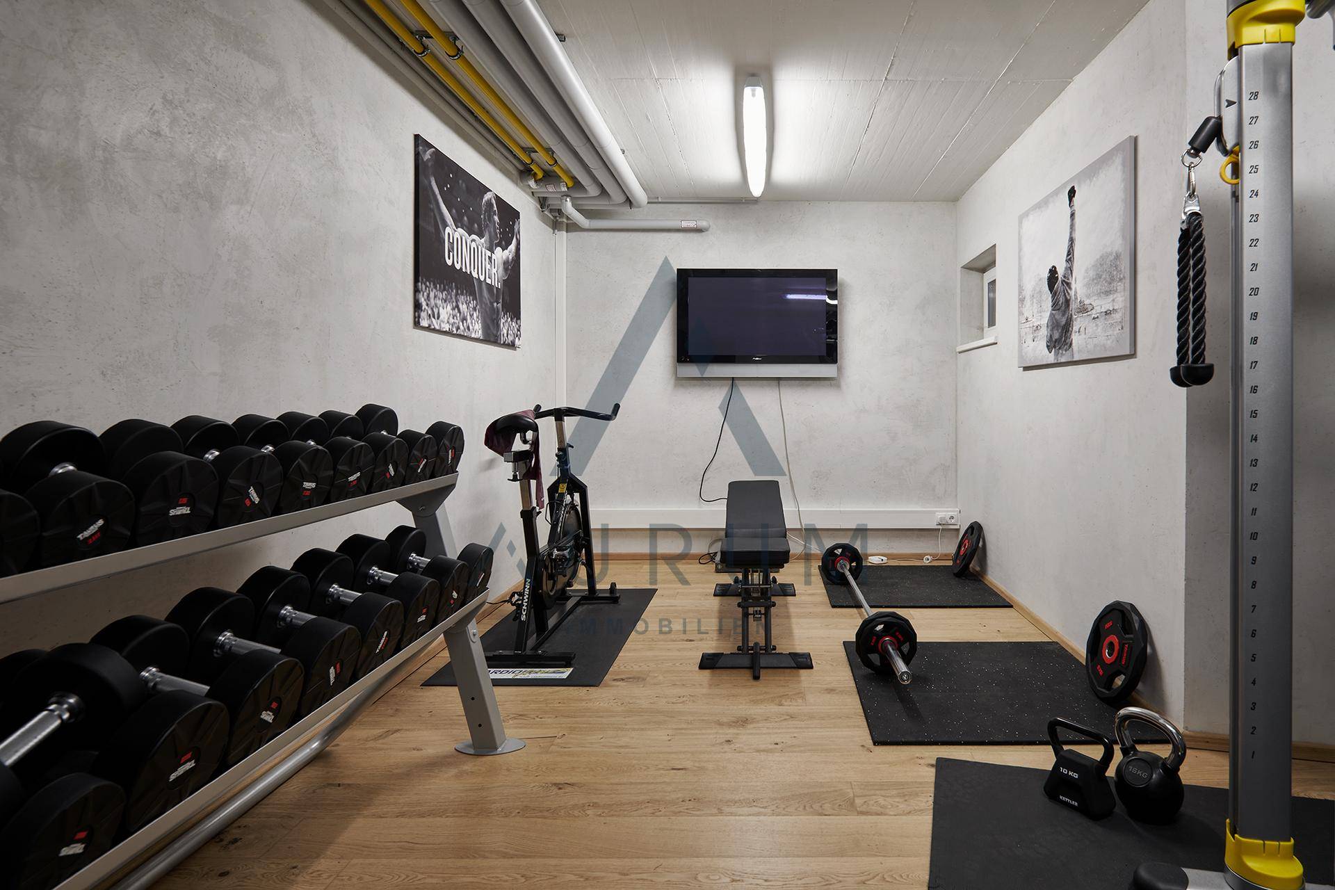 Moderner Fitnessraum mit Hanteln, Trainingsgeräten und Fernseher für das tägliche Workout.