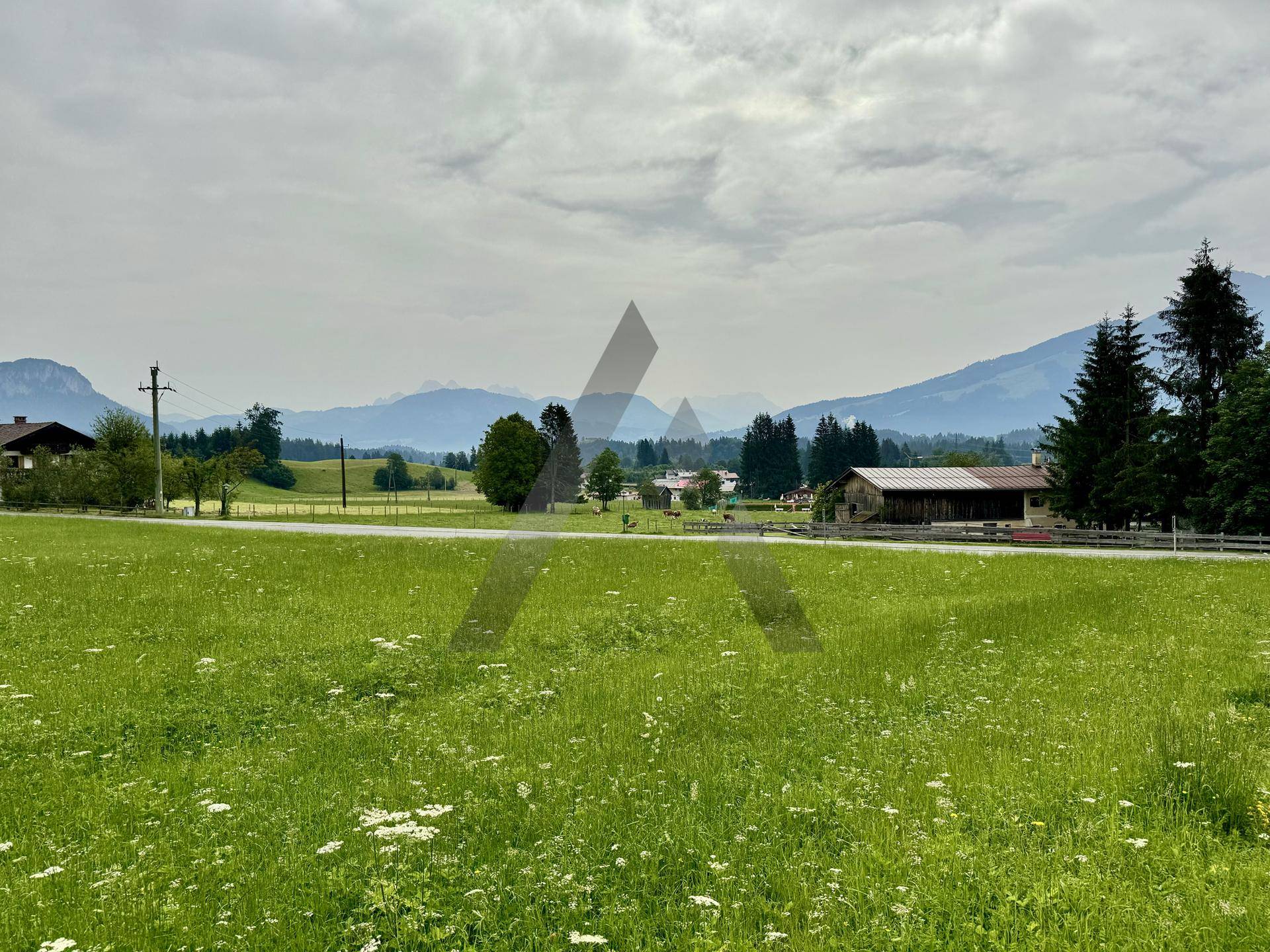 Grüne Wiesen und Felder mit vereinzelten Häusern und bewaldeten Hügeln unter bewölktem Himmel.