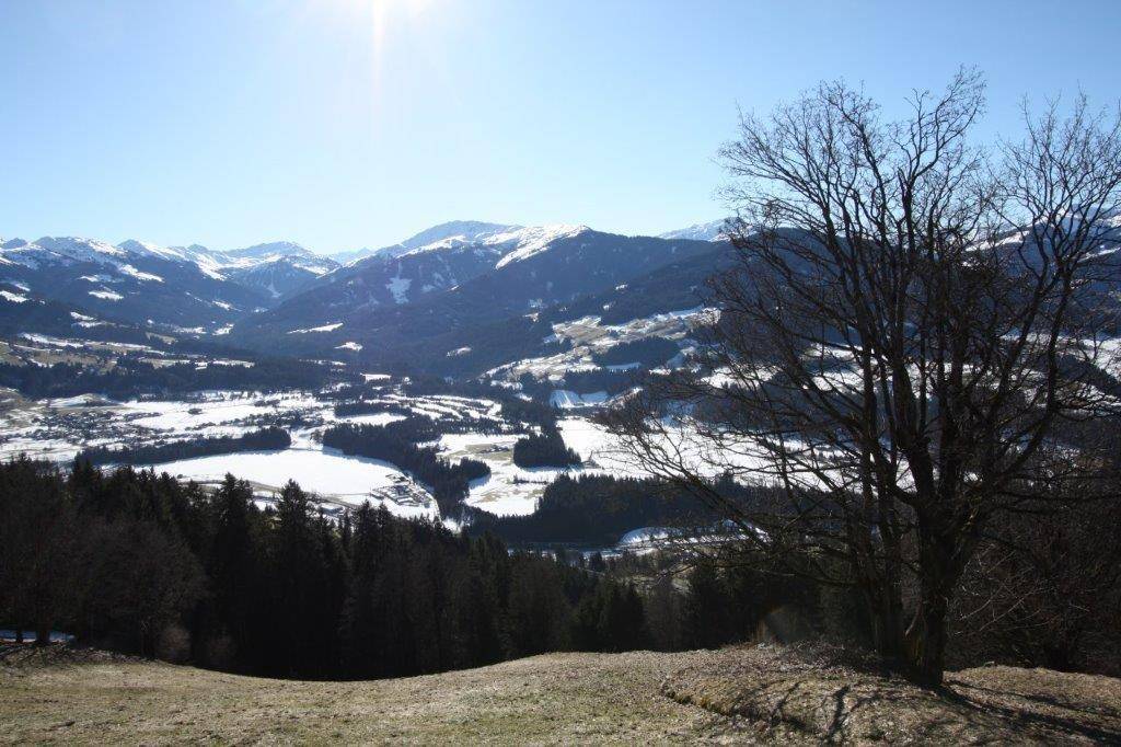 Sonniger Weitblick über eine winterliche Landschaft mit schneebedeckten Bergen und dunklen Wäldern.
