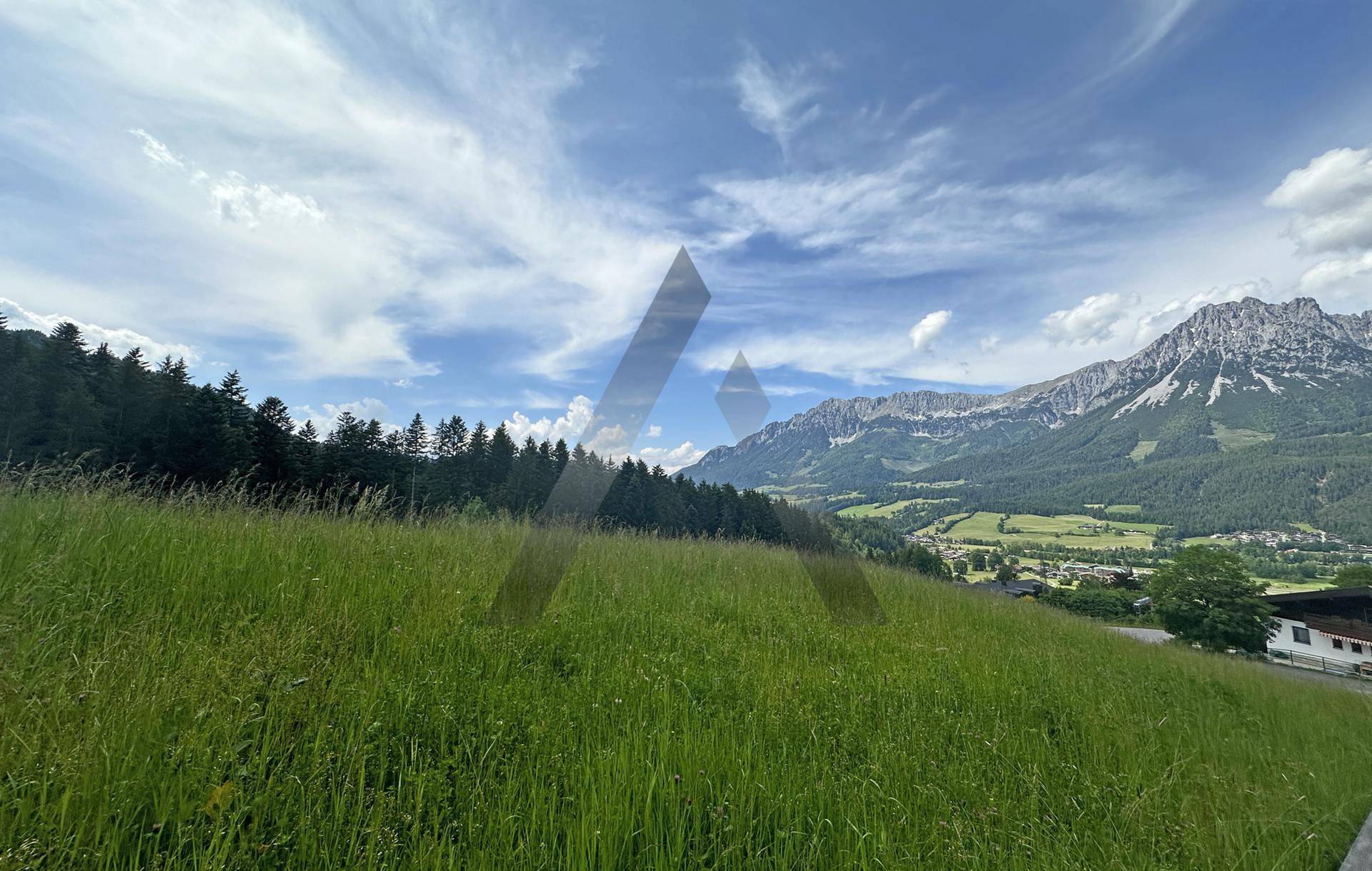 Weitläufige grüne Wiese mit Waldrand und Bergen im Hintergrund unter blauem Himmel.