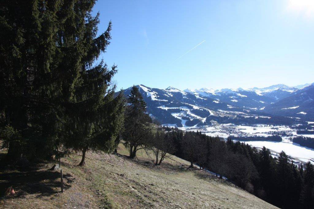 Idyllischer Ausblick auf verschneite Berglandschaft und weite Täler, umrahmt von hohen Nadelbäumen.