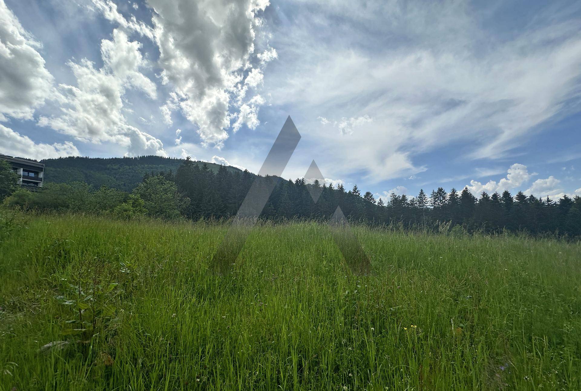 Weitläufige grüne Wiese mit Waldrand und Bergen im Hintergrund unter bewölktem Himmel.