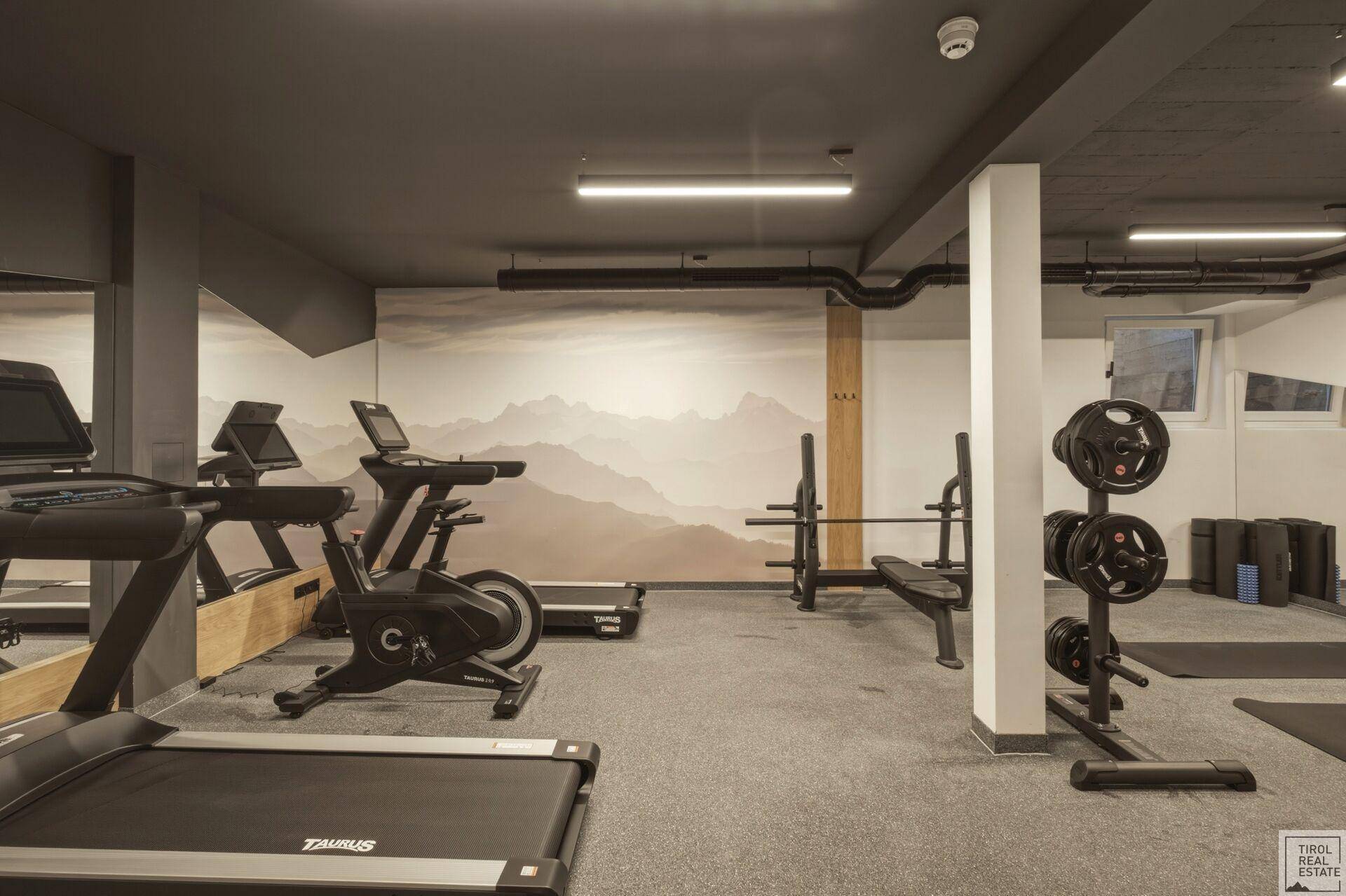 Umfassender Fitnessraum mit Cardio- und Kraftgeräten sowie einer Bergwanddekoration.