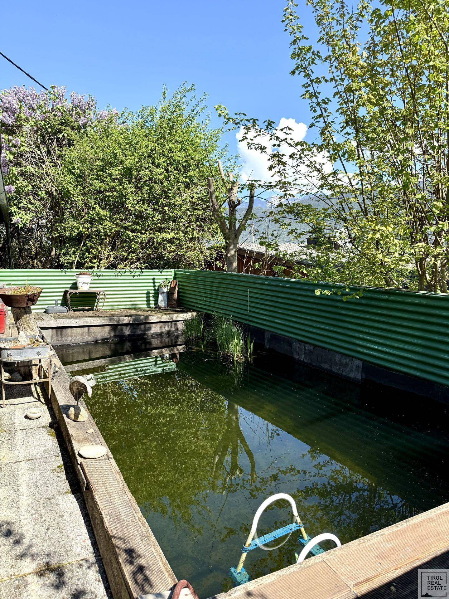 Natur-Schwimmteich