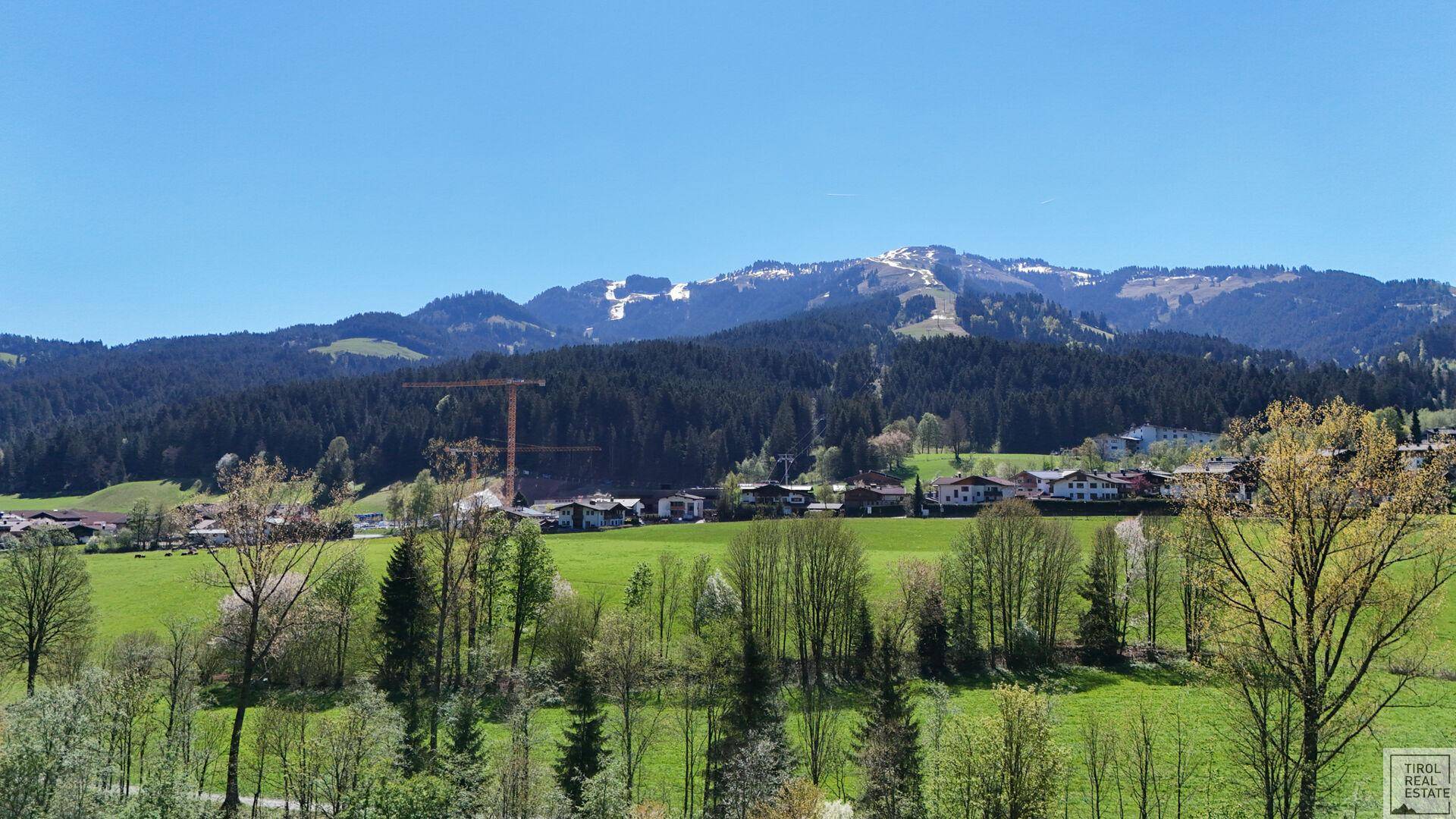 Weitläufiger Blick über grüne Wiesen, Wälder und schneebedeckte Berge in der Ferne.