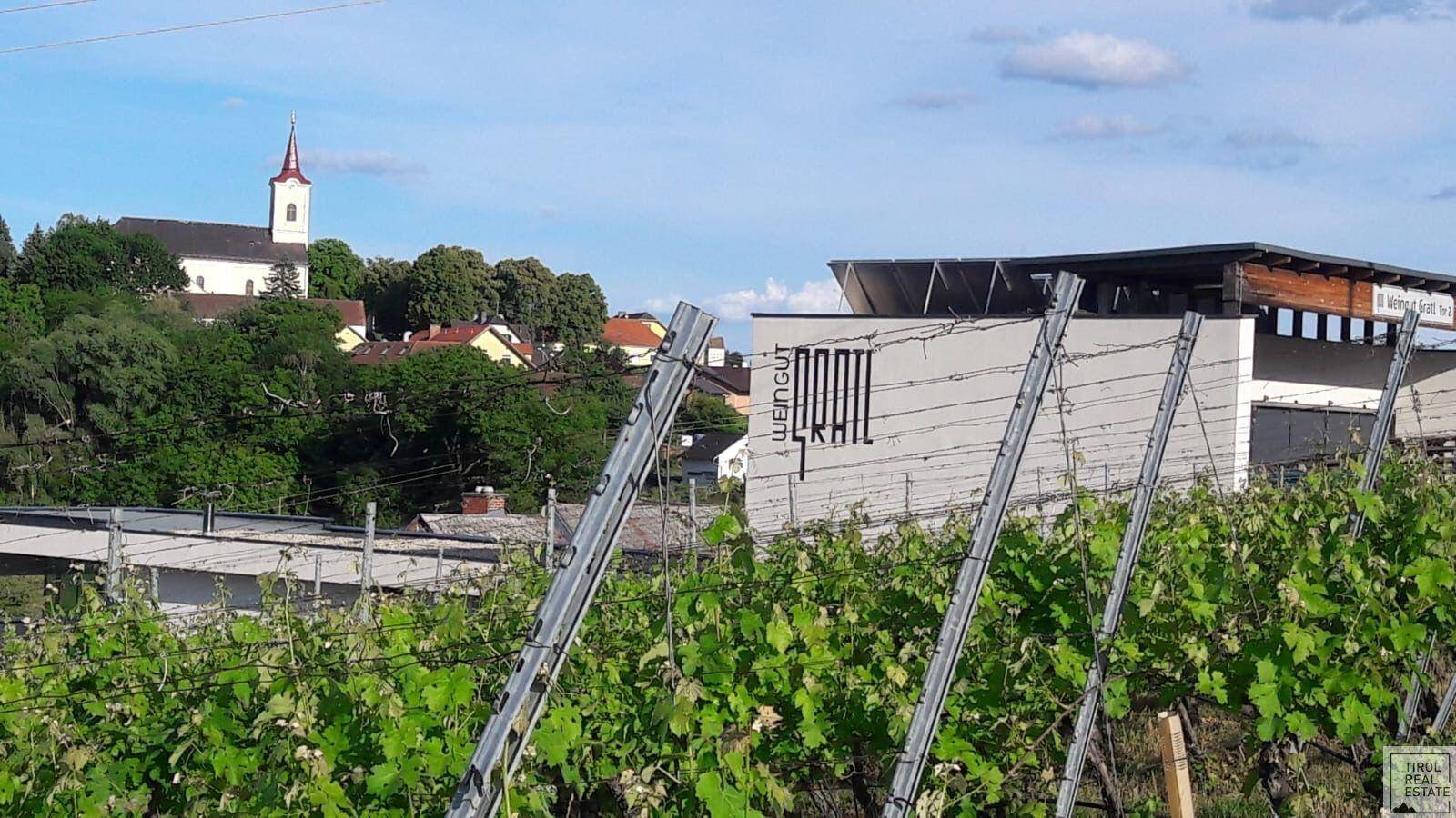 Weingutgebäude mit Weinberg im Vordergrund und einem Dorf mit Kirche im Hintergrund.