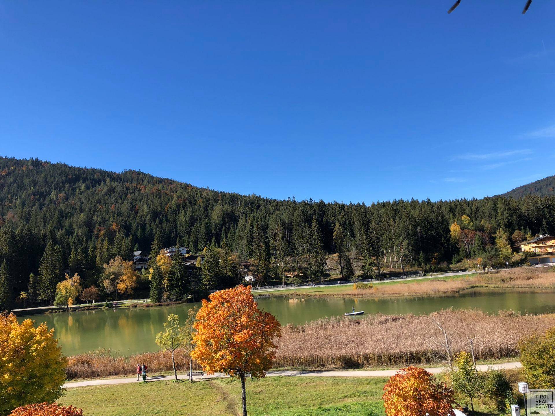 Ausblick Wildsee