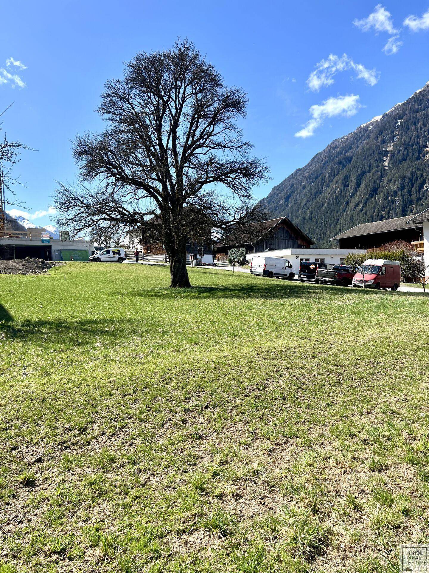 Helle Grünfläche mit einem markanten Baum und Blick auf die umliegende Bergwelt und Häuser.