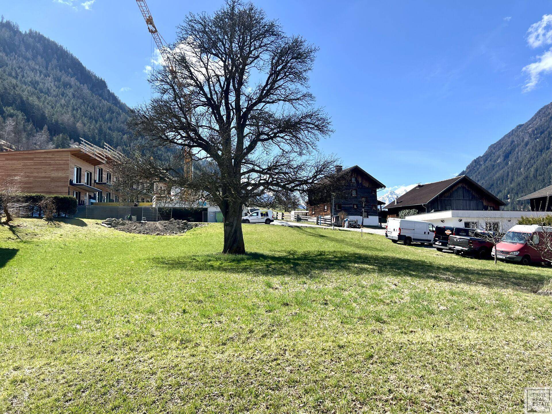Sonnige Grünfläche mit großem Baum und Blick auf die umliegende Bebauung und Berglandschaft.
