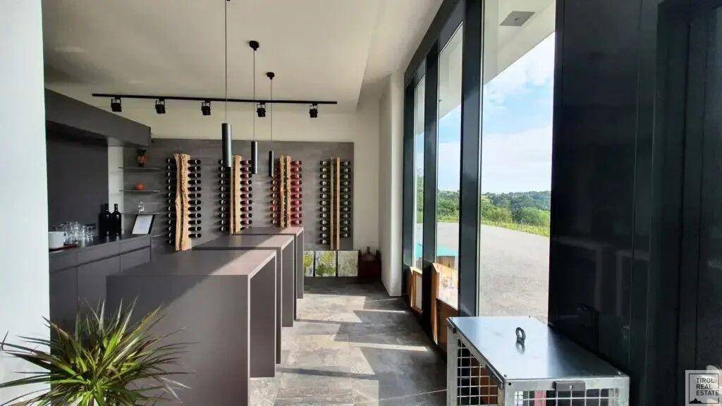 Moderner Weinverkostungsbereich mit Flaschenregalen und großen Fenstern mit Blick ins Grüne.