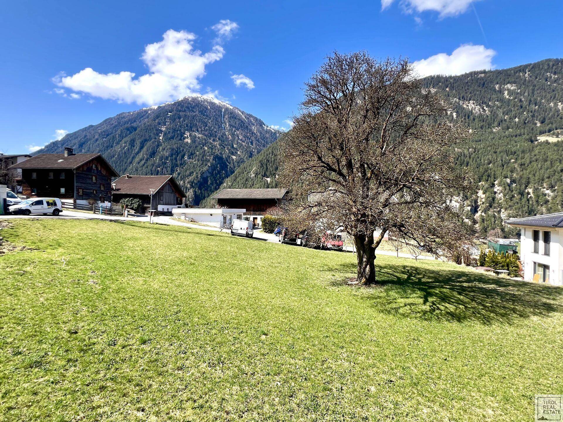 Sonnige Grünfläche mit altem Baum und Panoramablick auf die umliegenden Berge und traditionelle Häuser.