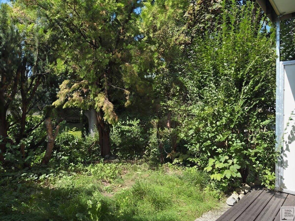 Üppiger, grüner Gartenbereich mit Bäumen und Sträuchern, ideal zum Entspannen.